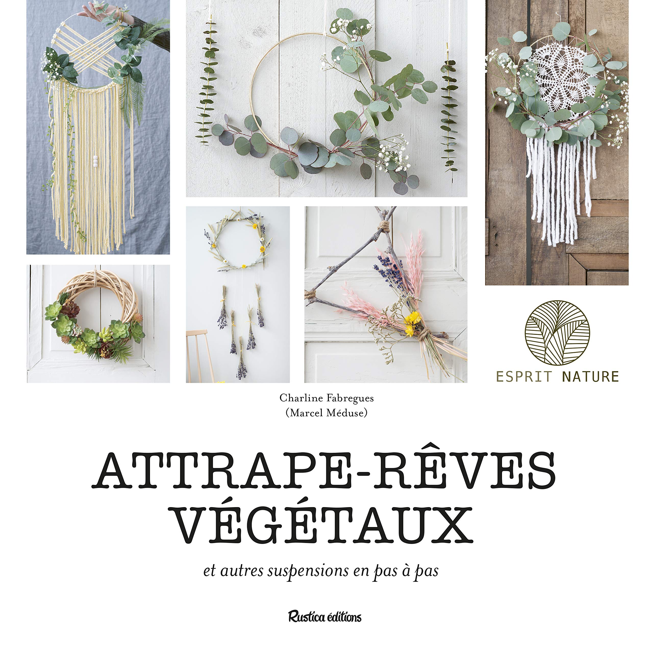Attrape-rêves végétaux 9782815313247