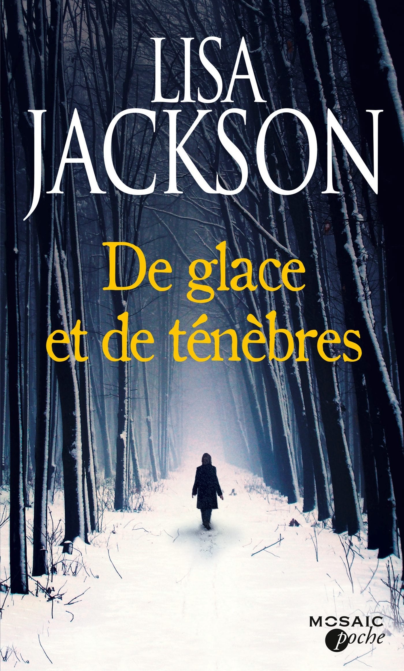 De glace et de ténèbres 9782280337700