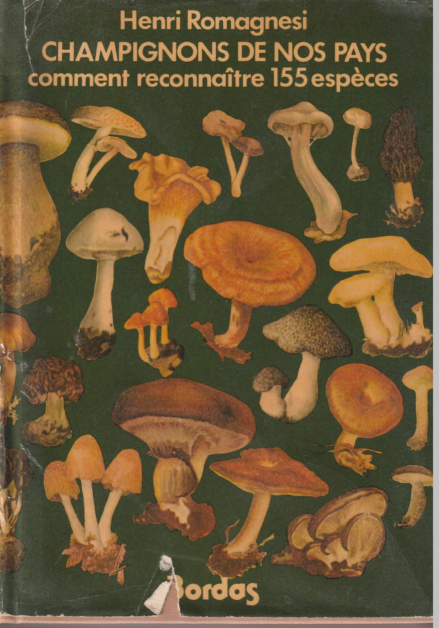 Champignons de nos pays 9782040069889