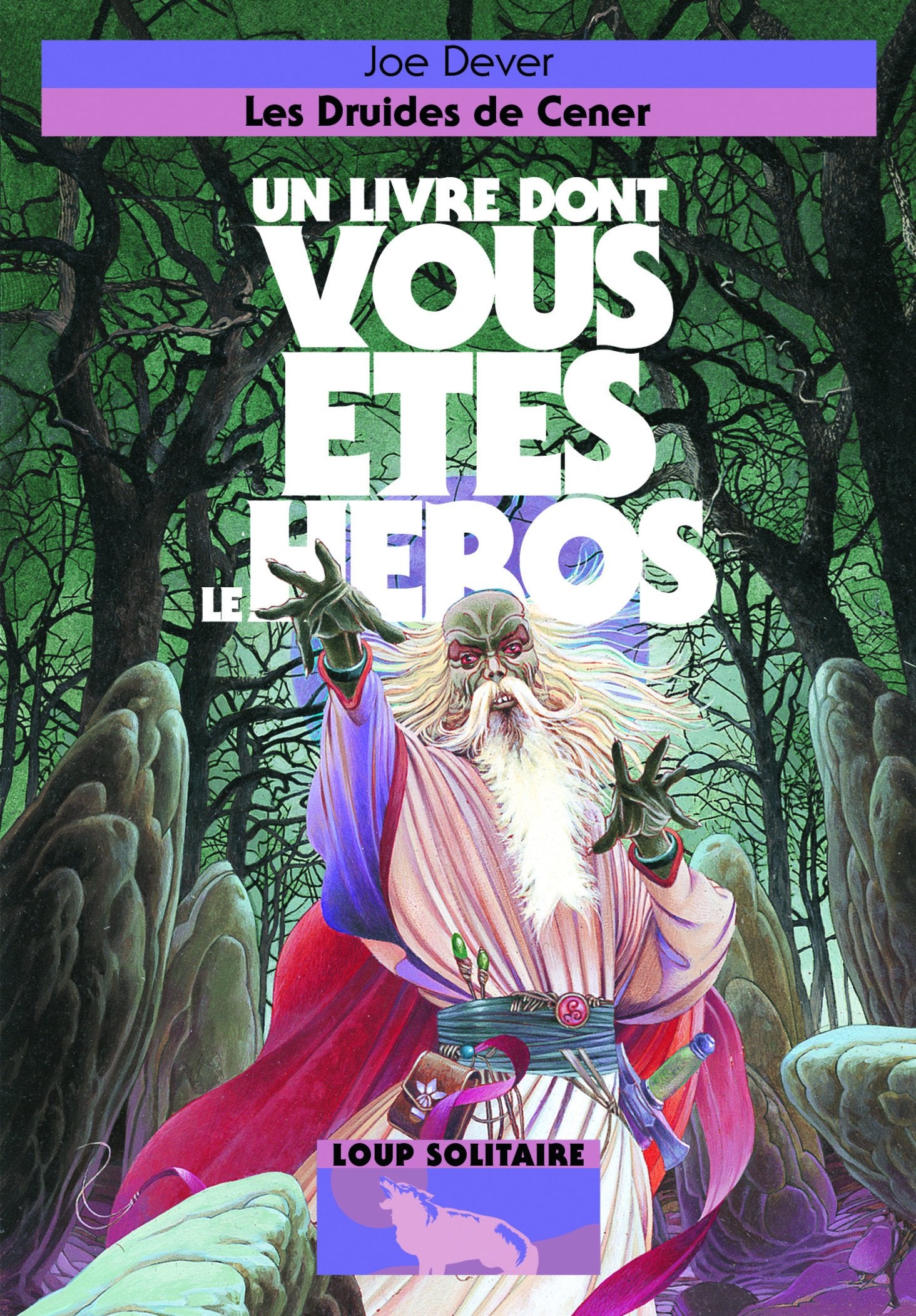 Les Druides de Cener. Un Livre dont vous êtes le Héros - Loup Solitaire. 13 9782070662234