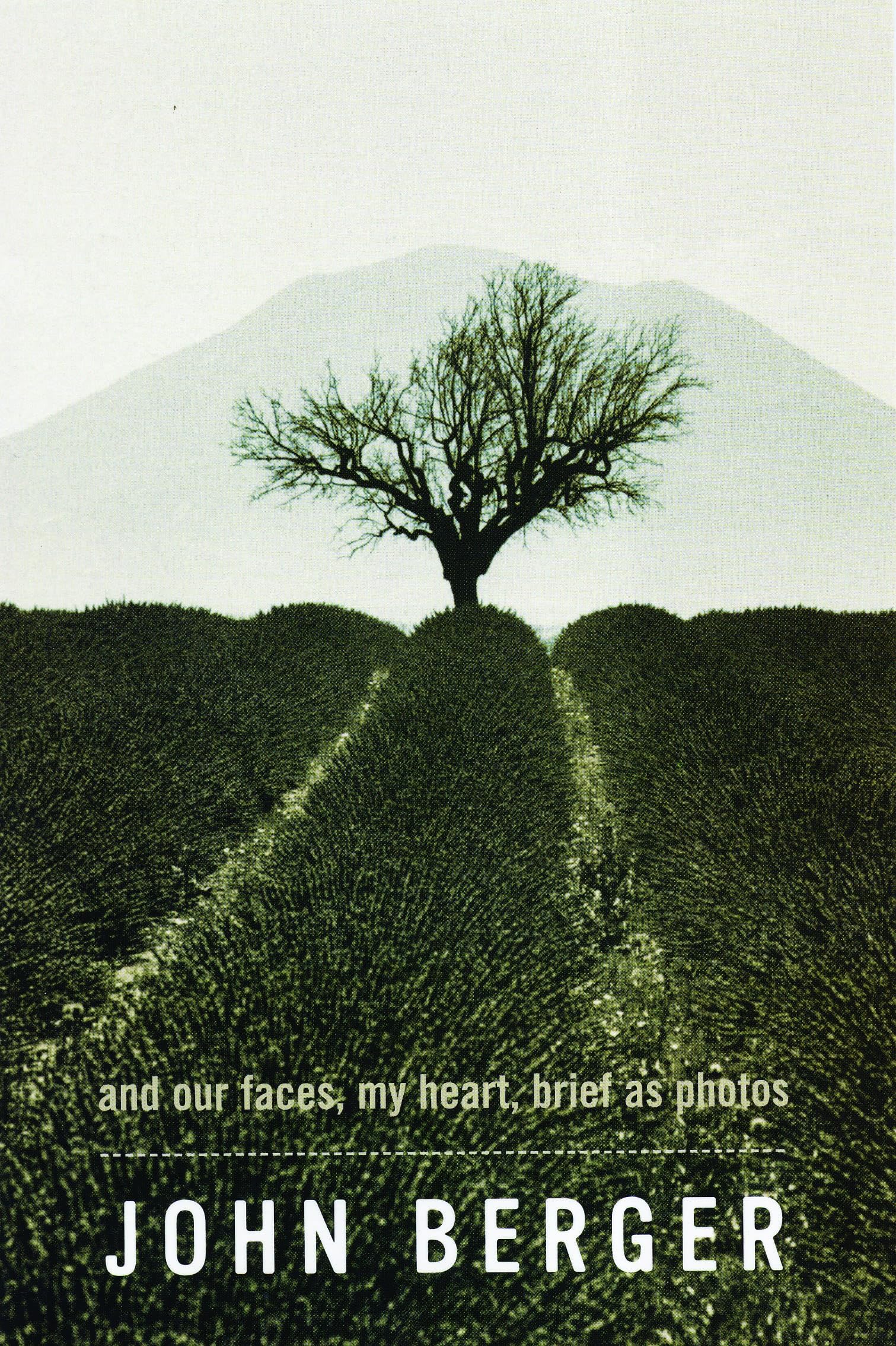 And Our Faces, My Heart, Brief as Photos 9780747576914