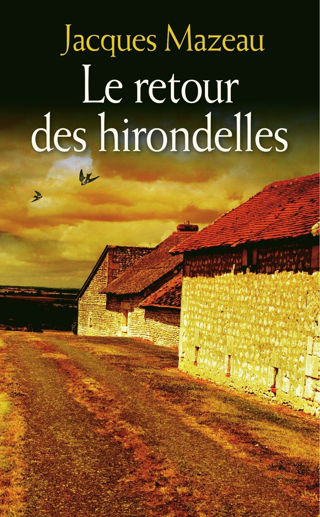 Le retour des hirondelles 9782298079272