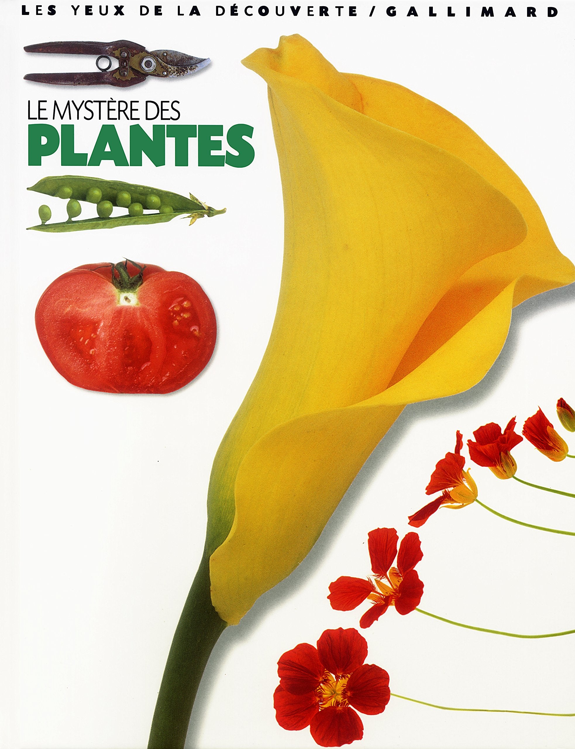 Le Mystère des plantes 9782070538140