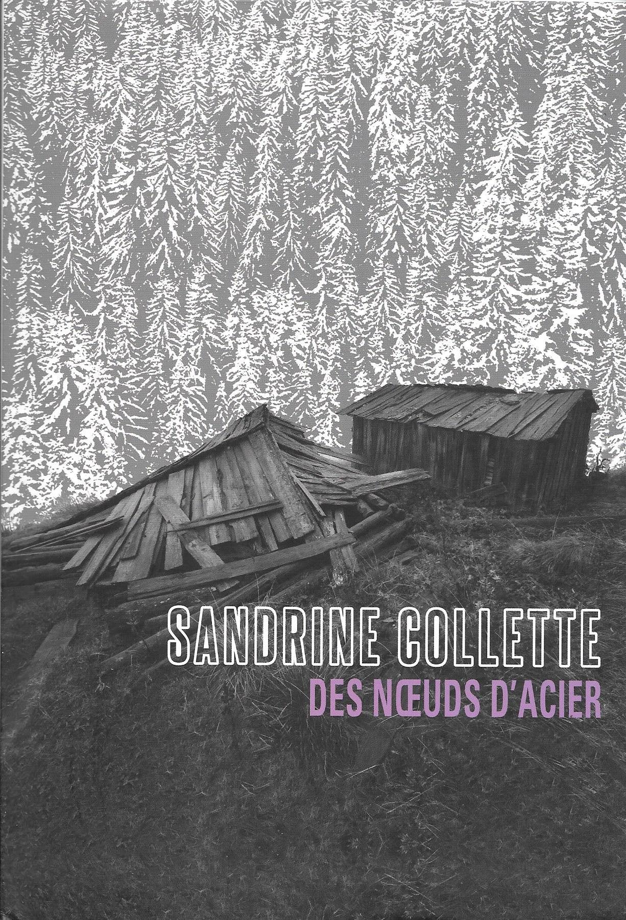 des noeuds d'acier sandrine collette 9782286096021