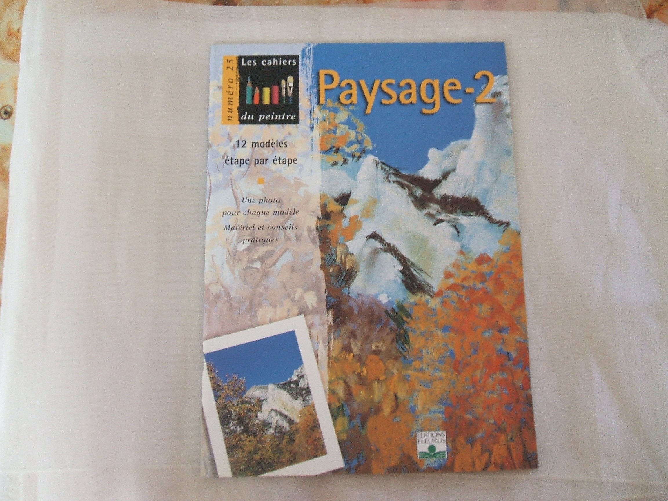 Paysage : 12 modèles étape par étape, une photo pour chaque modèle, matériel et conseils prtaiques 9782215070511