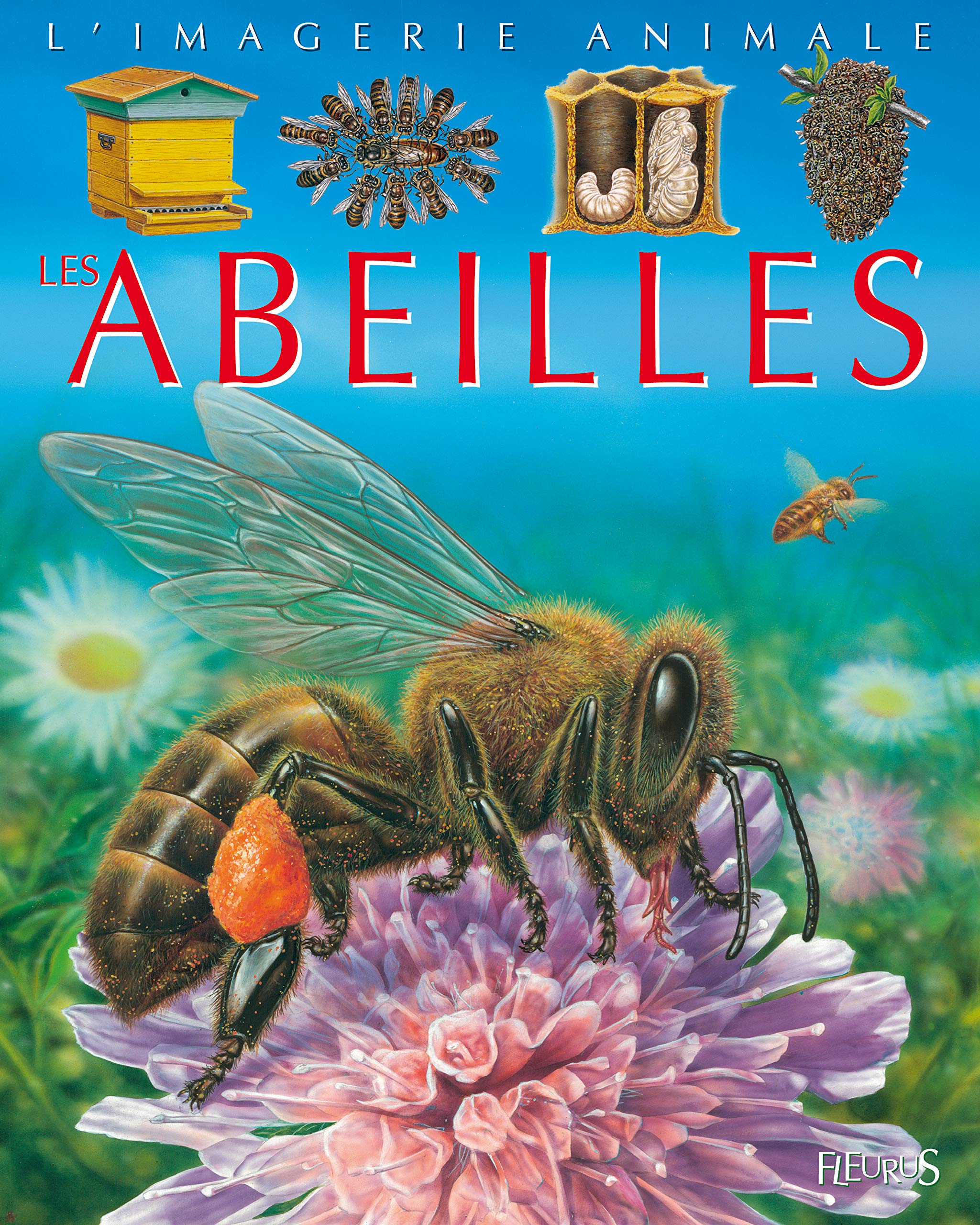 Les abeilles 9782215097303
