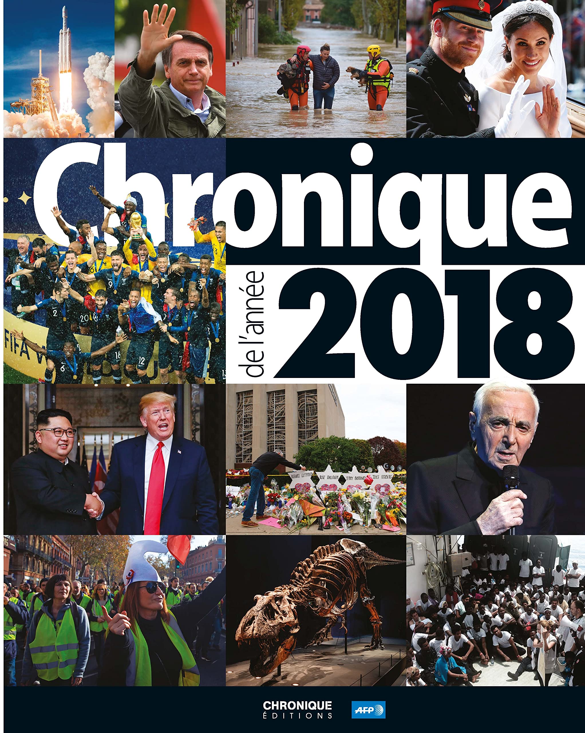 Chronique de l'année 2018 9782366026344
