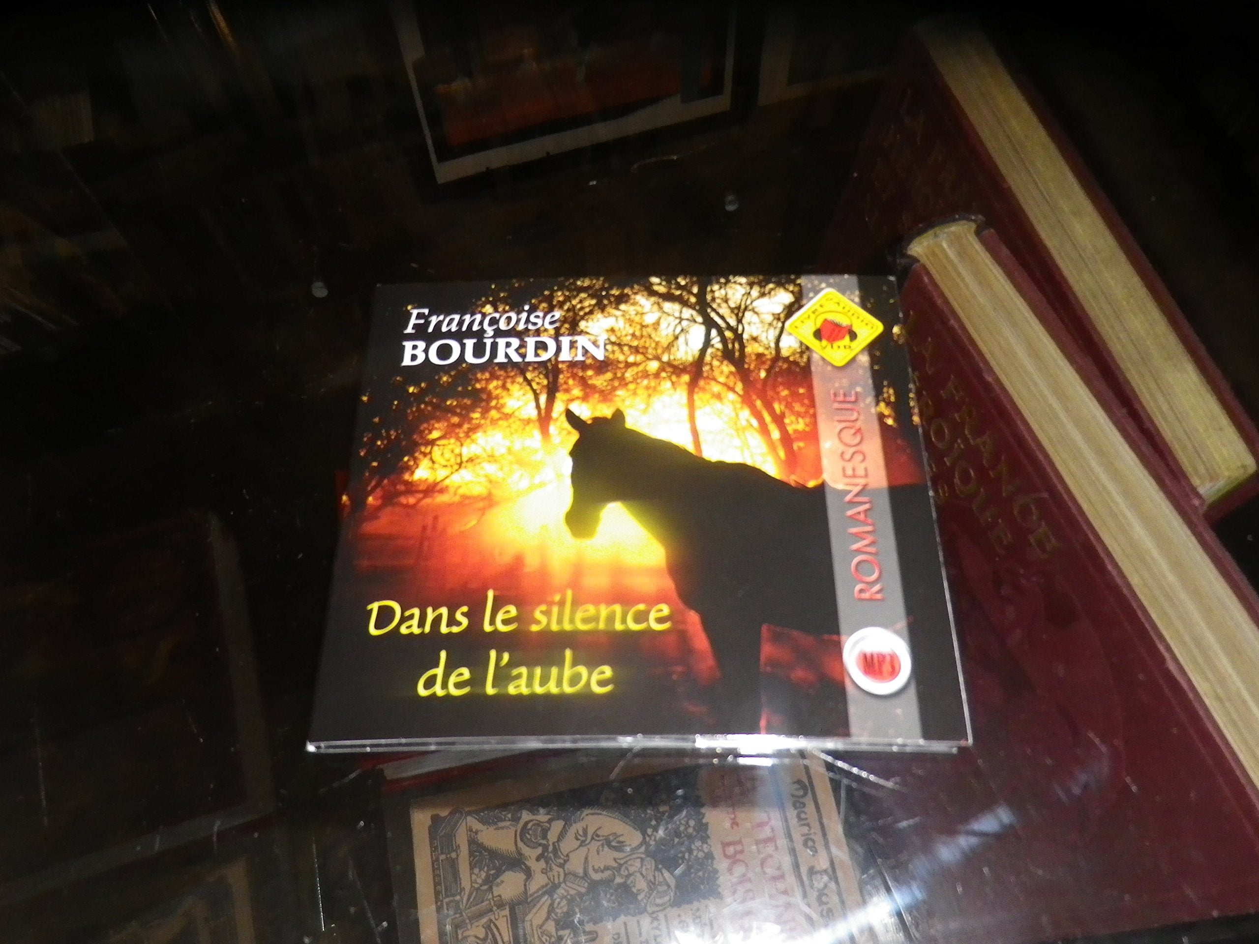 Dans le Silence de l'Aube 9782846947039