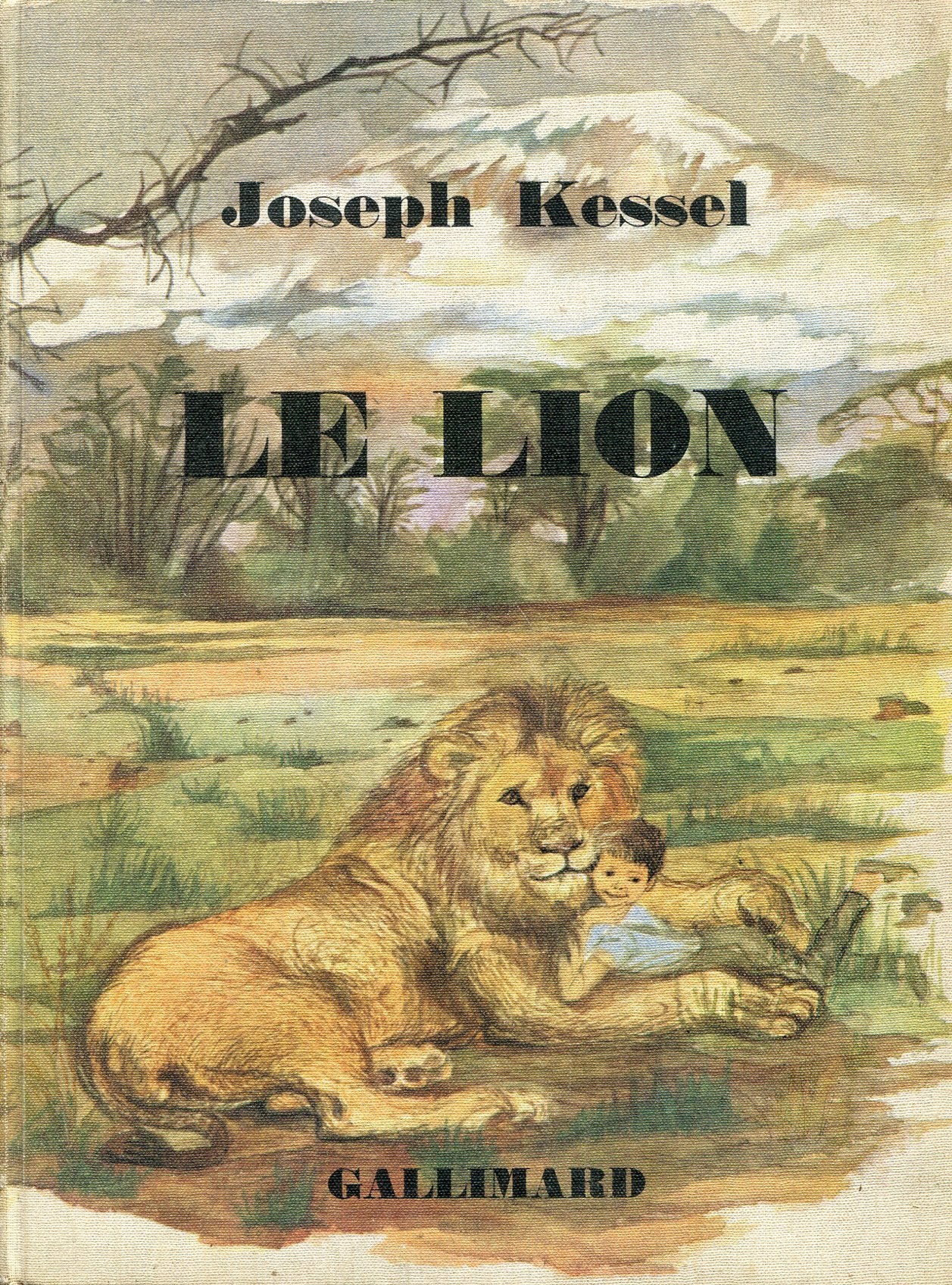 Le lion - Illustrations de Léone Plard - Nrf