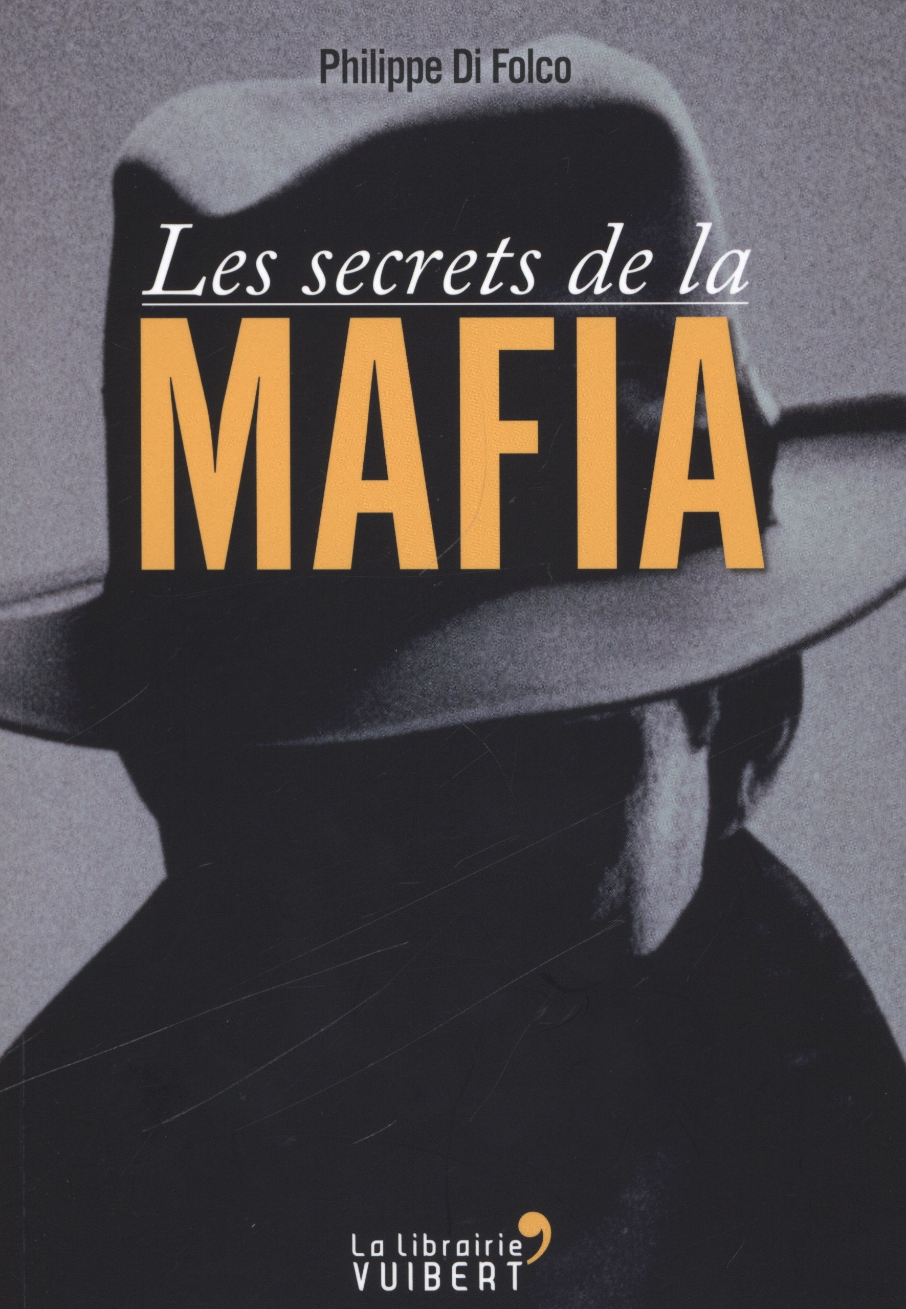 Les secrets de la Mafia 9782311007497