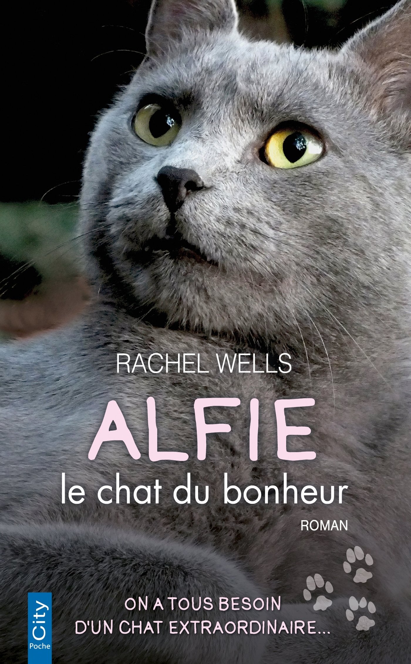 Alfie, le chat du bonheur 9782824608976