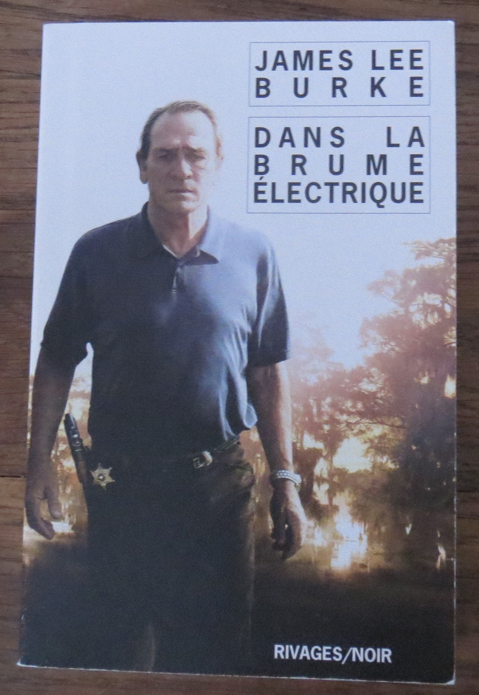 Dans la brume électrique 9782743618148