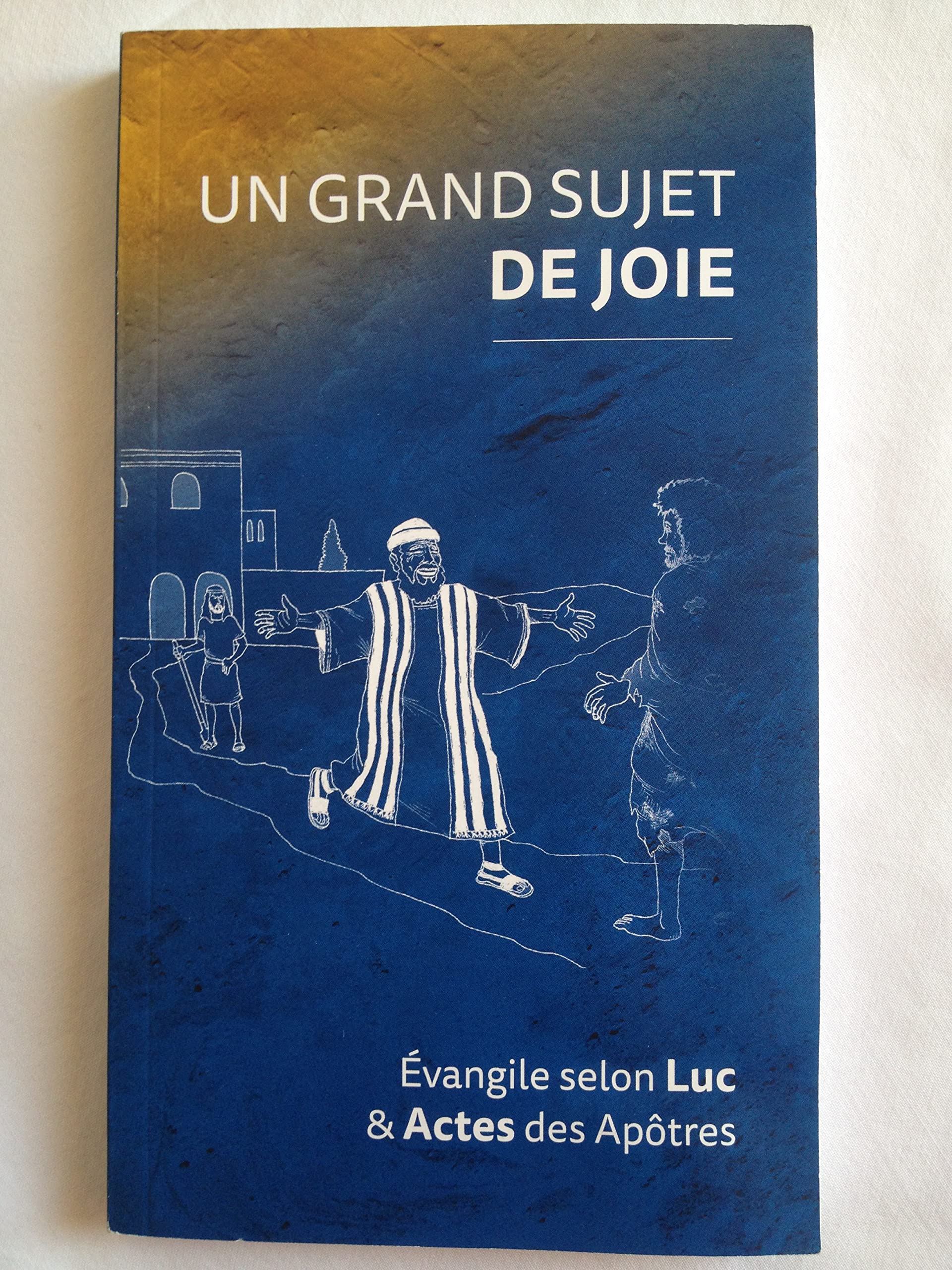 Un Grand Sujet de Joie. Évangile Selon Luc et Actes des Apôtres 9782879076294
