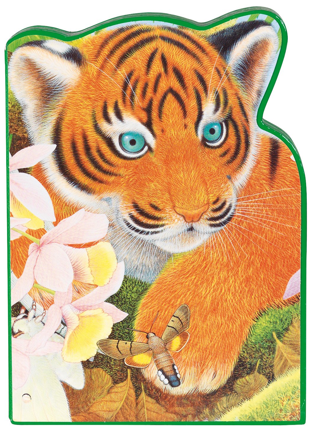 Tavi le tigre: L'Inde 9782841969319