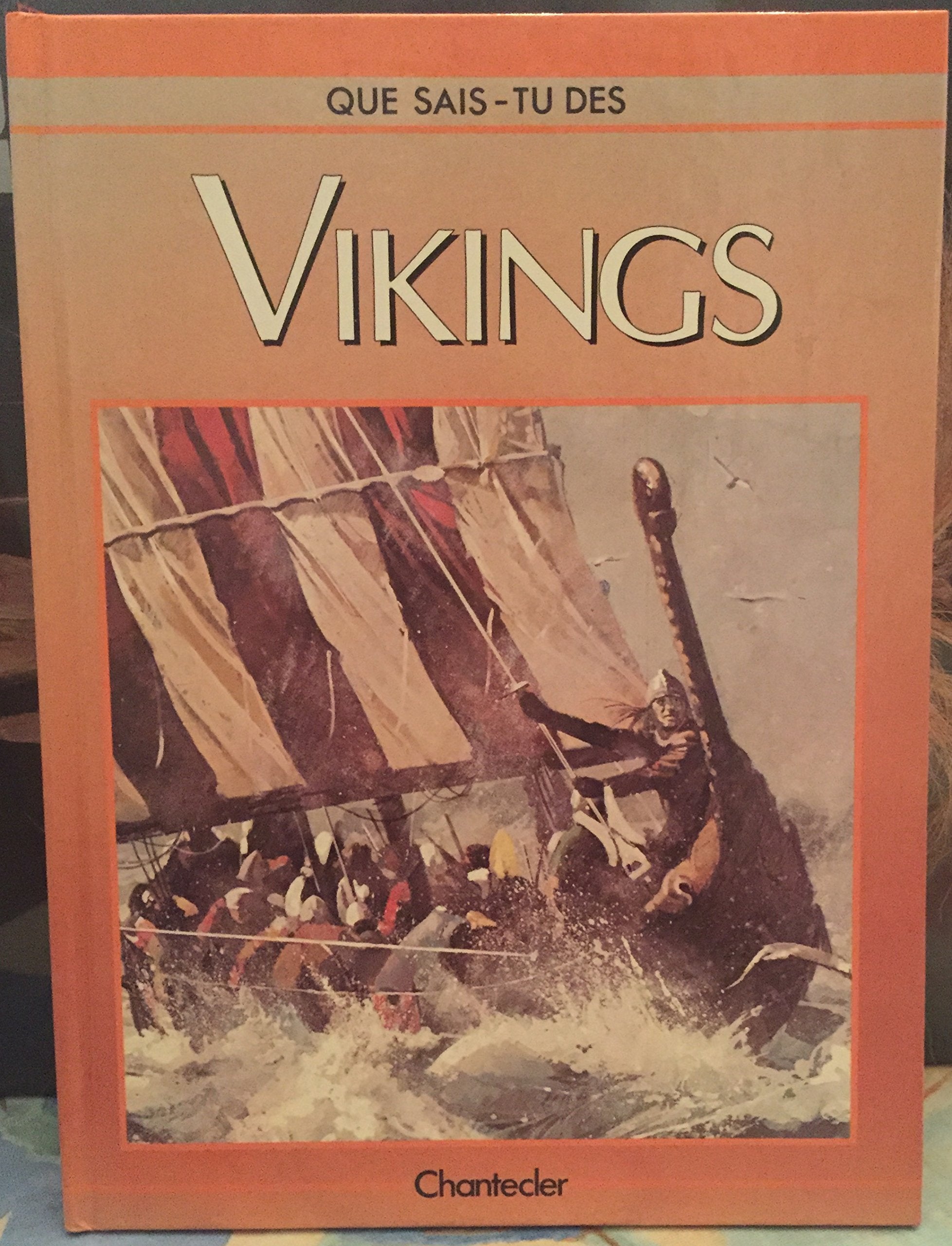 que sais tu des vikings 9782803417889