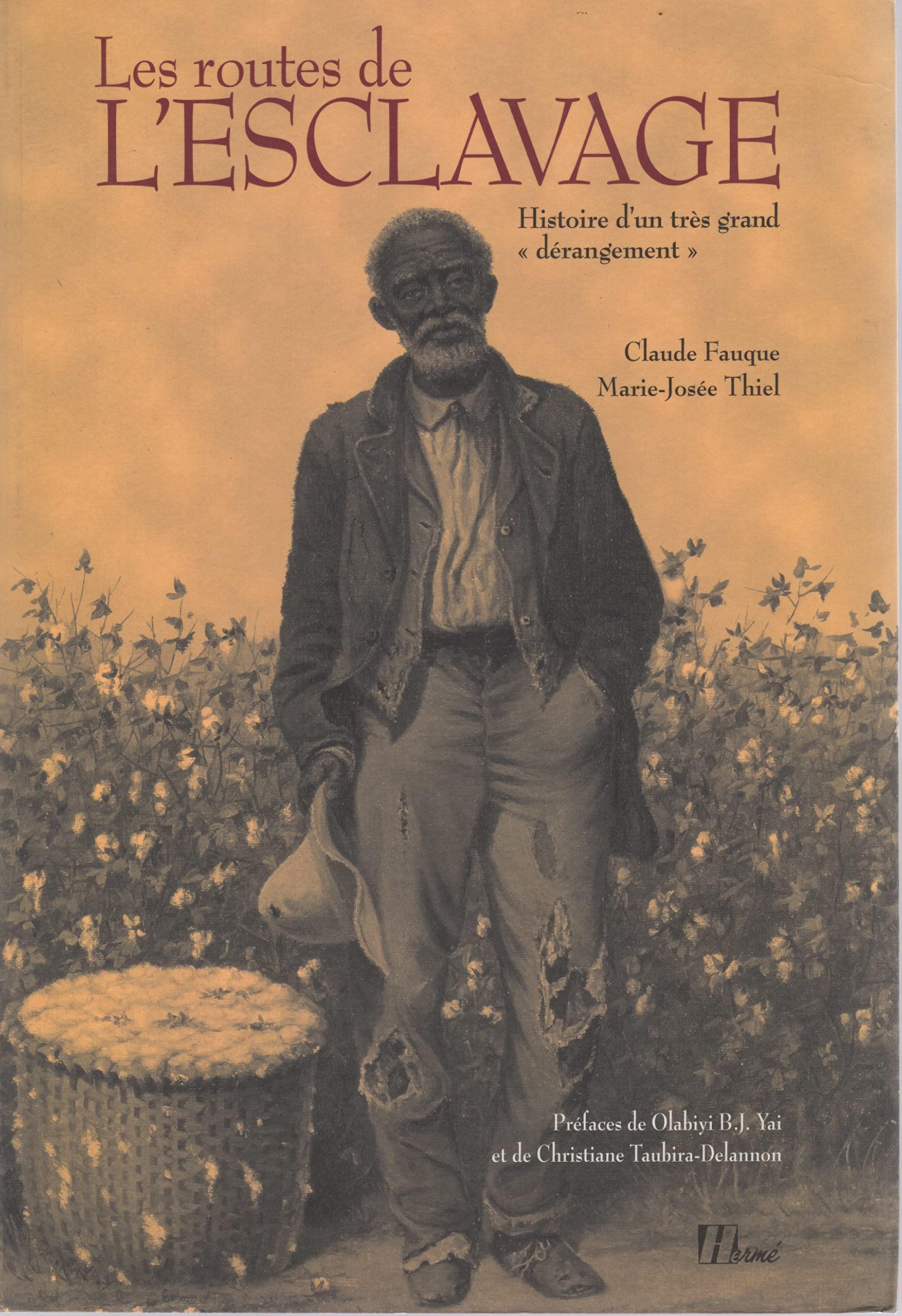 Les routes de l'esclavage: Histoire d'un très grand "dérangement" 9782866653910