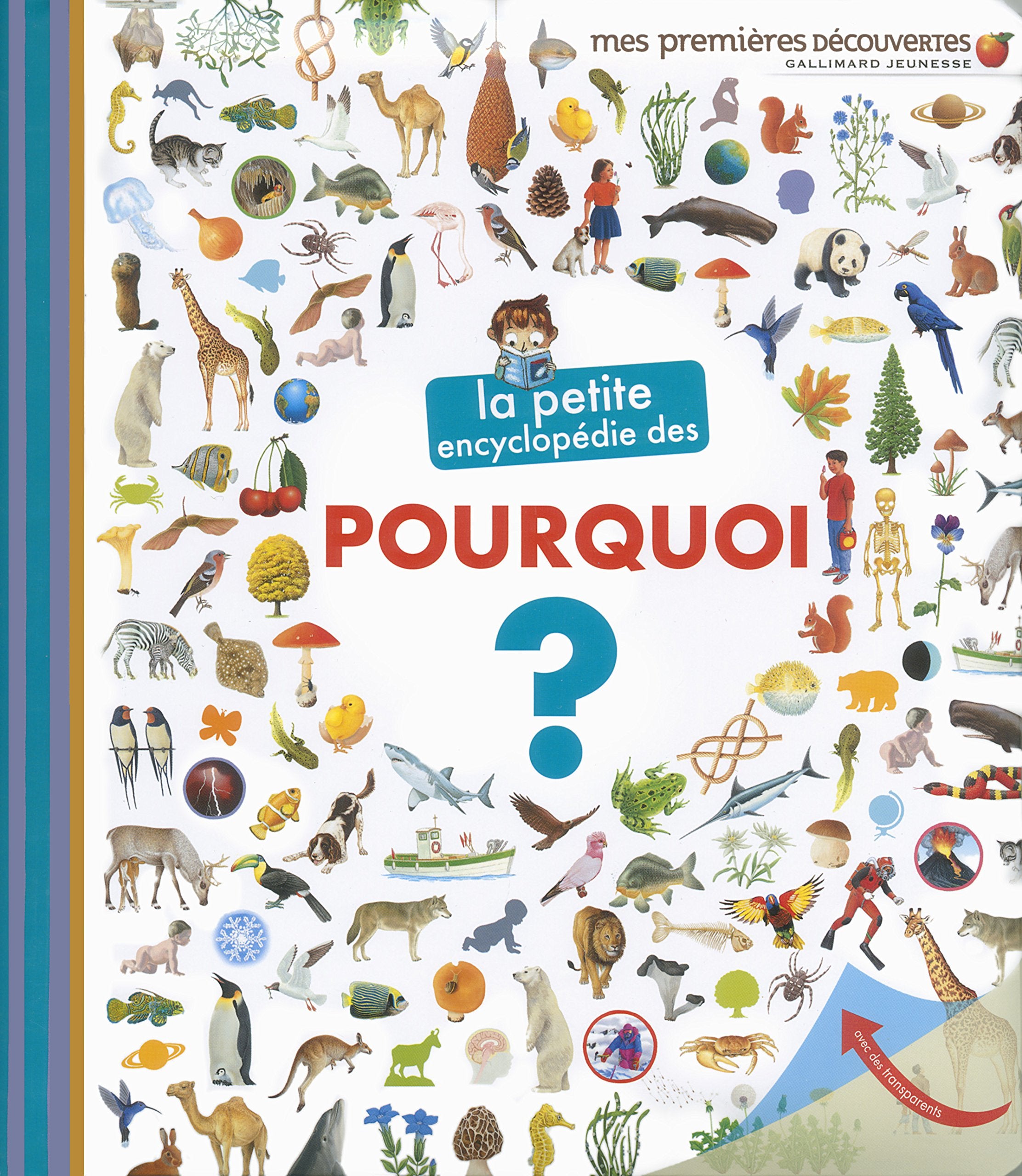 LA PETITE ENCYCLOPEDIE DES POURQUOI 9782070666164