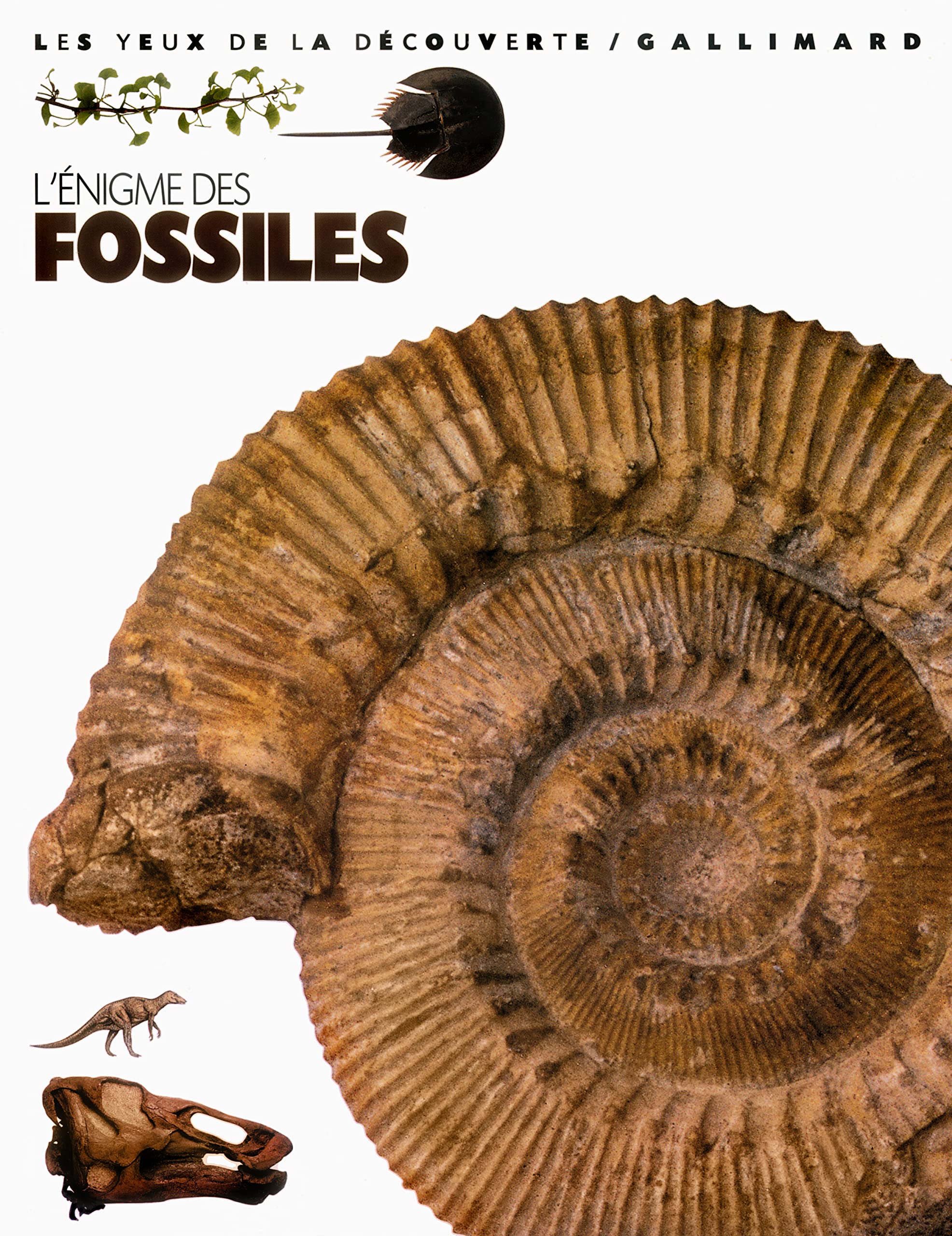 L'Énigme des fossiles 9782070557165