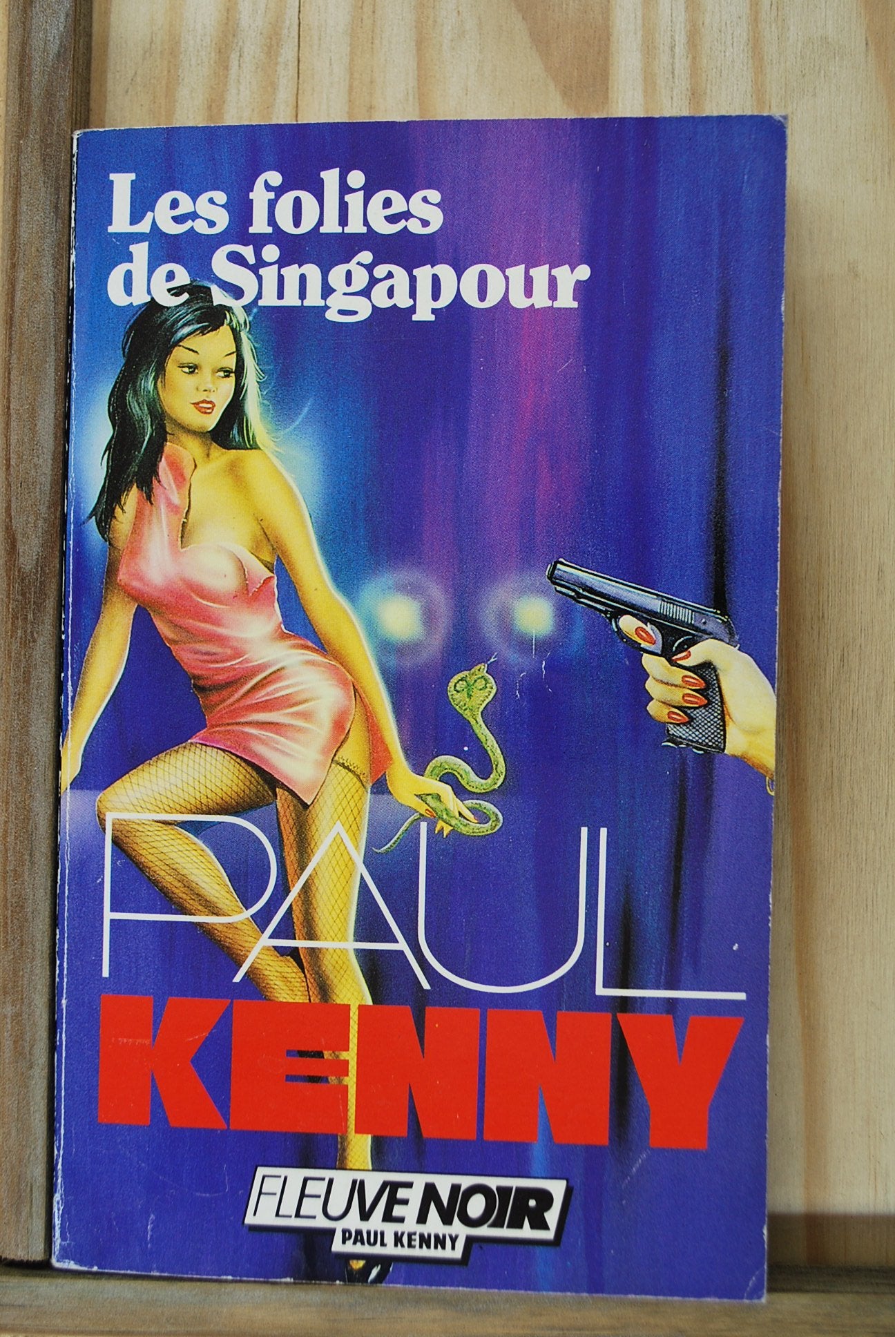 Les folies de singapour 9782265035942