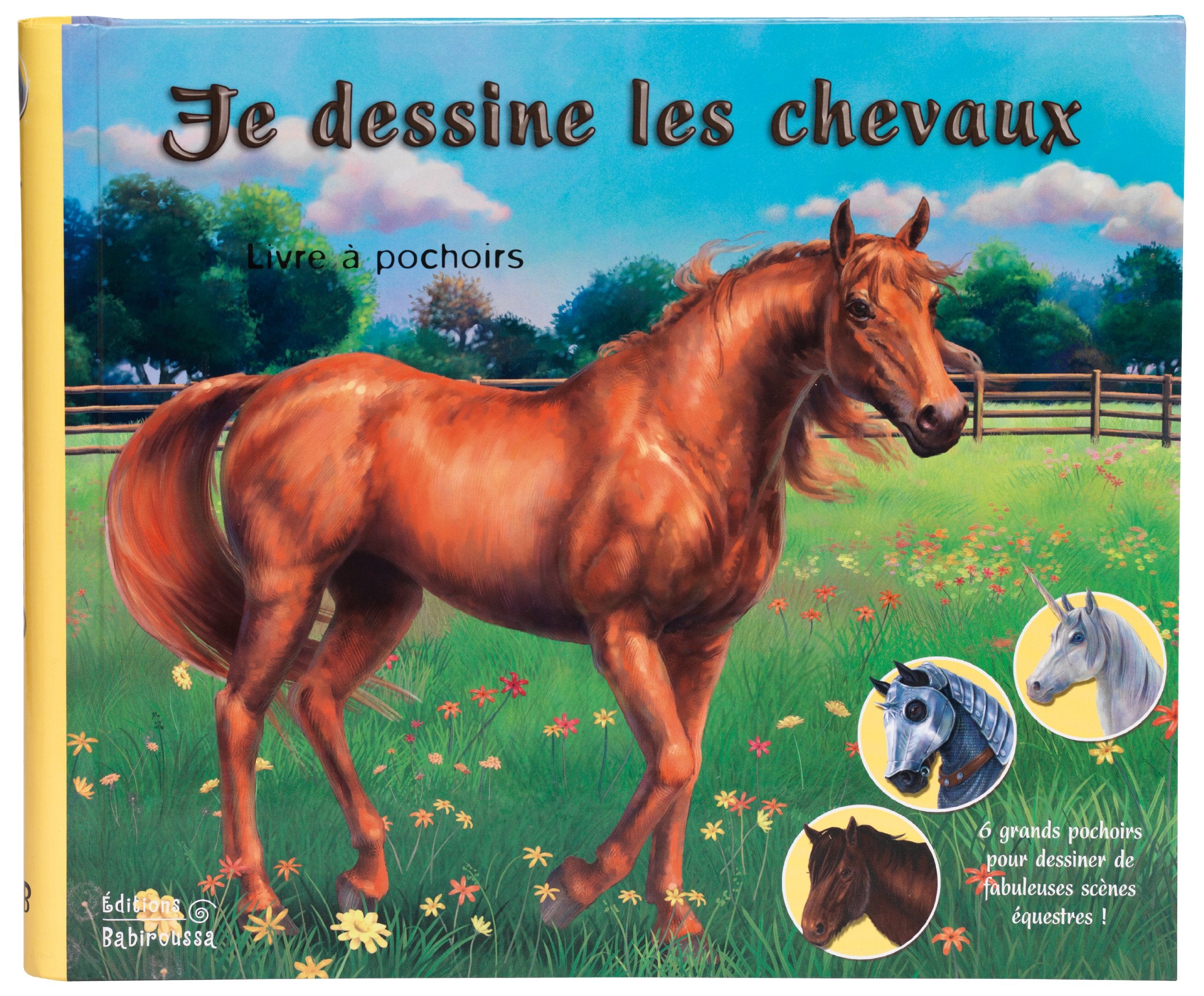 Je dessine les chevaux: Livre à pochoir 9782359190496
