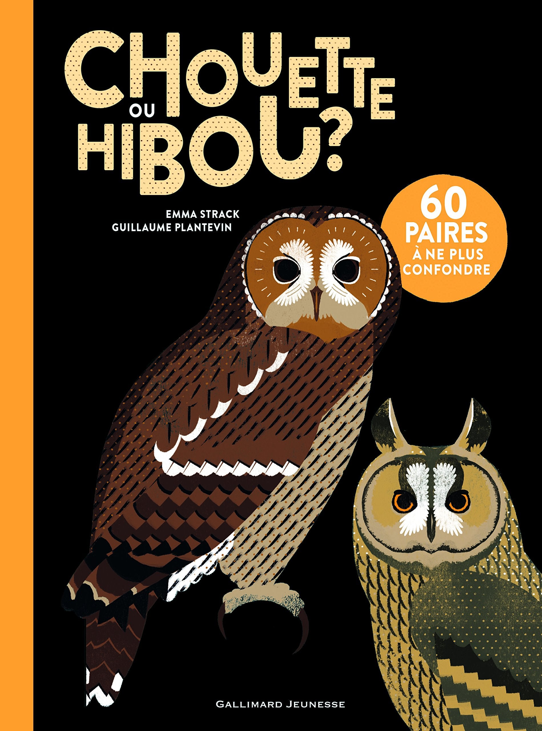 CHOUETTE OU HIBOU ? 9782070659807