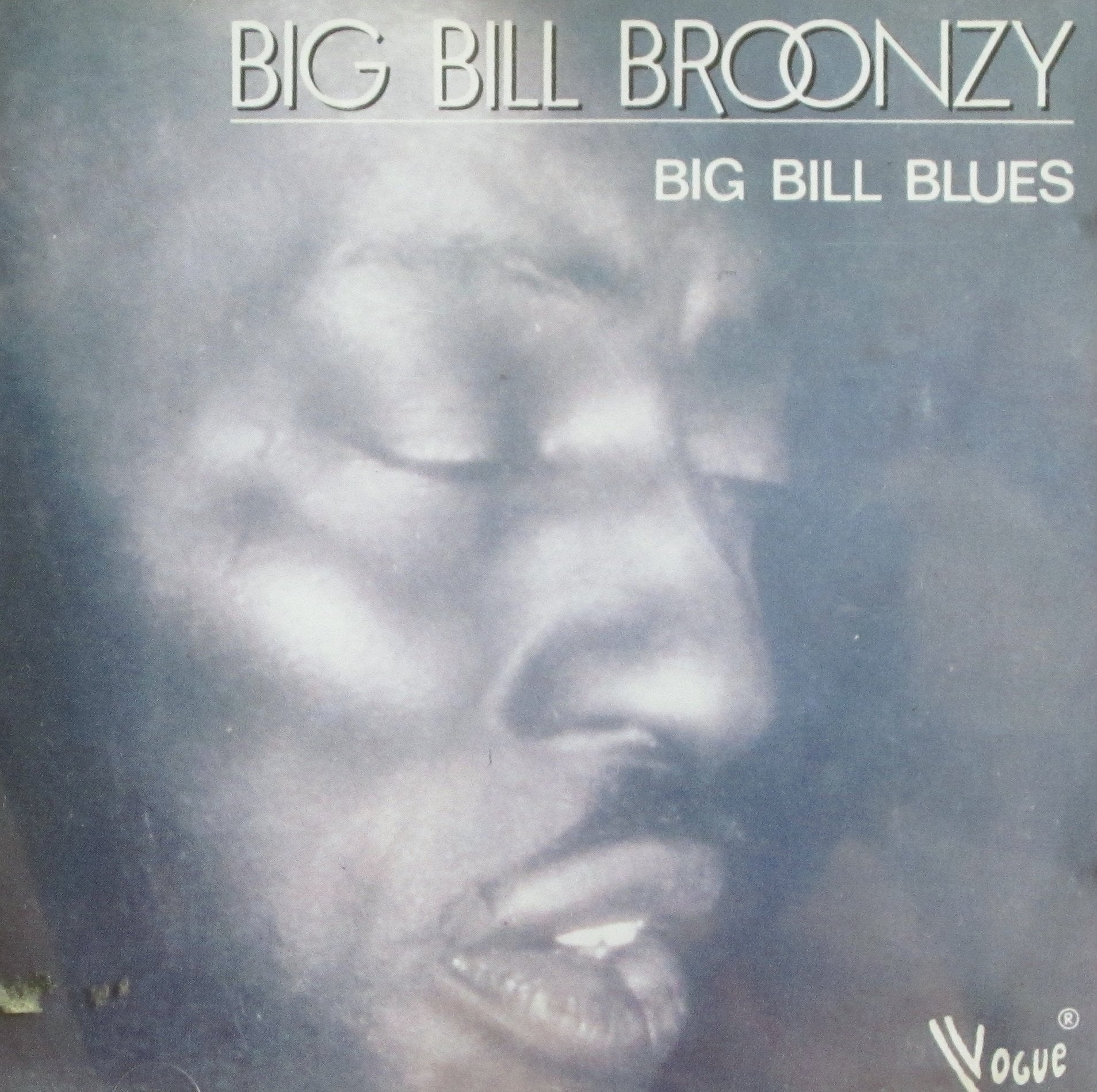 BIG BILL BLUES 3072666000417