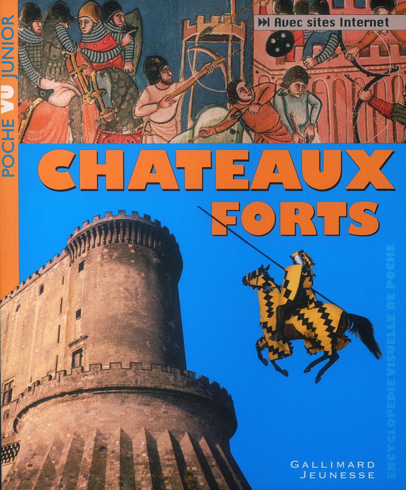 Châteaux forts 9782070553174