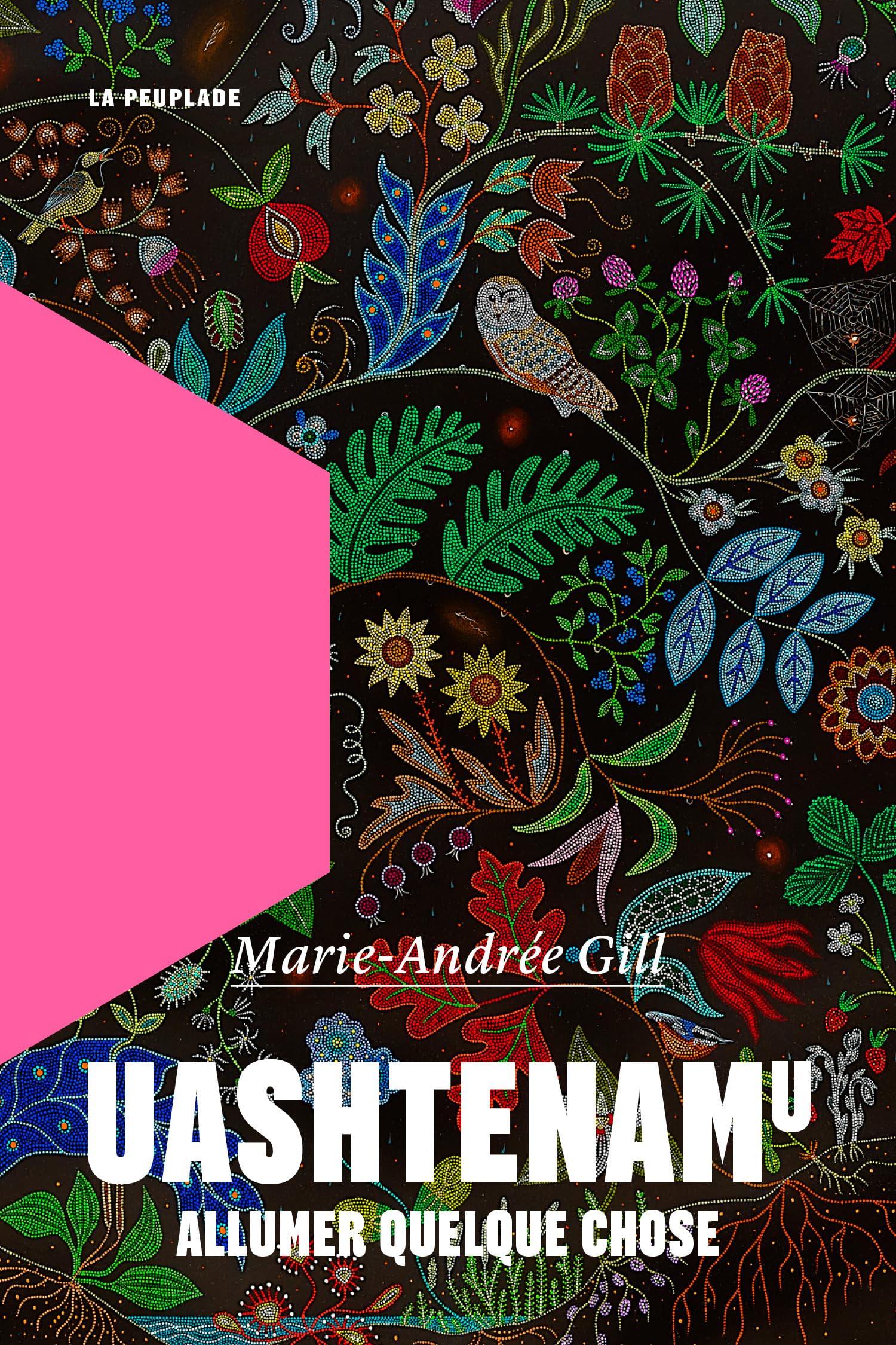 Uashtenamu: Allumer quelque chose 9782925416555