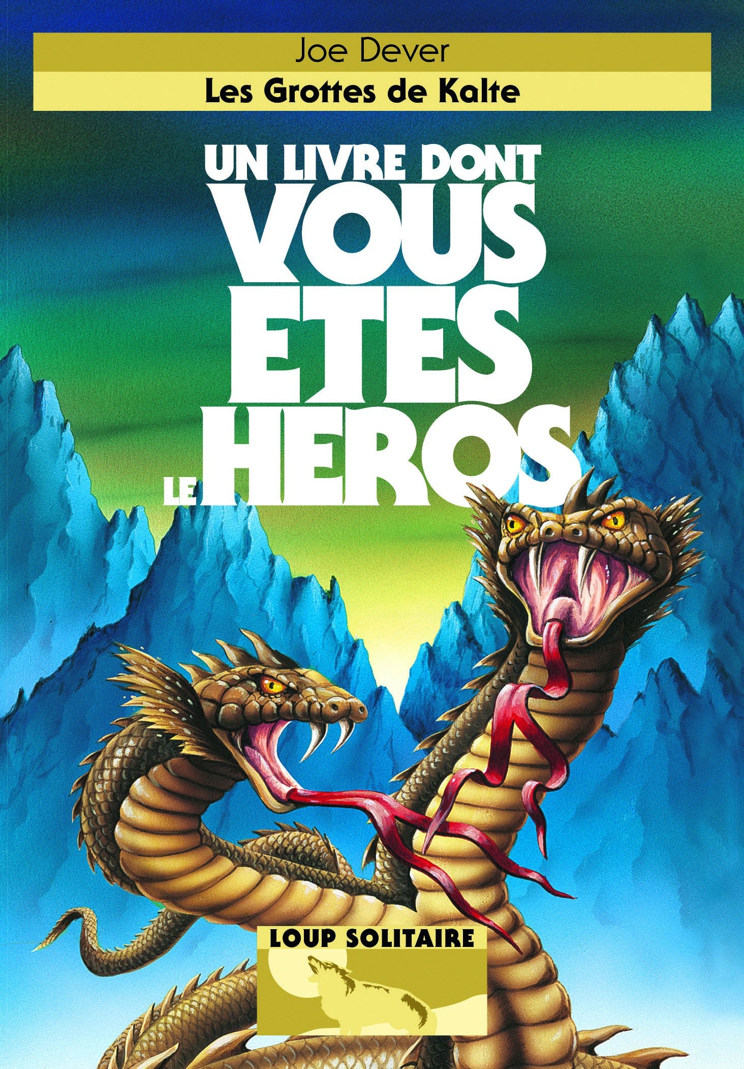 LES GROTTES DE KALTE - UN LIVRE DONT VOUS ETES LE HEROS - LOUP SOLITAIRE 3 9782070647347