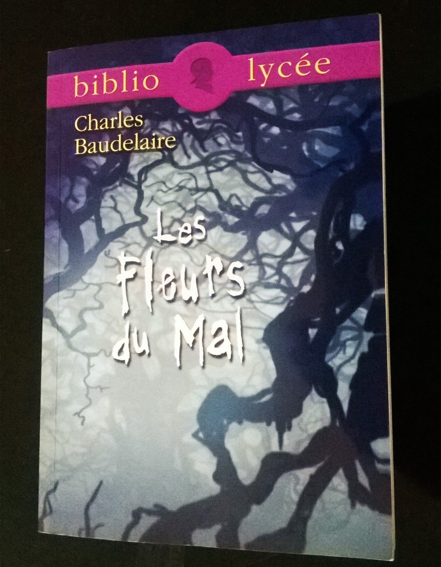 Les Fleurs du mal 9782011685476