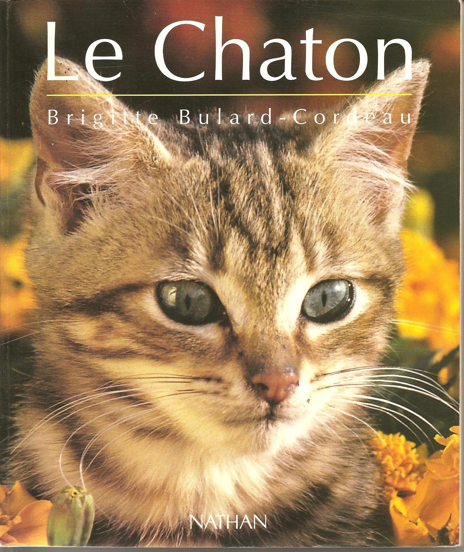 Le chaton : D'avant sa naissance à l'âge adulte 9782092604083