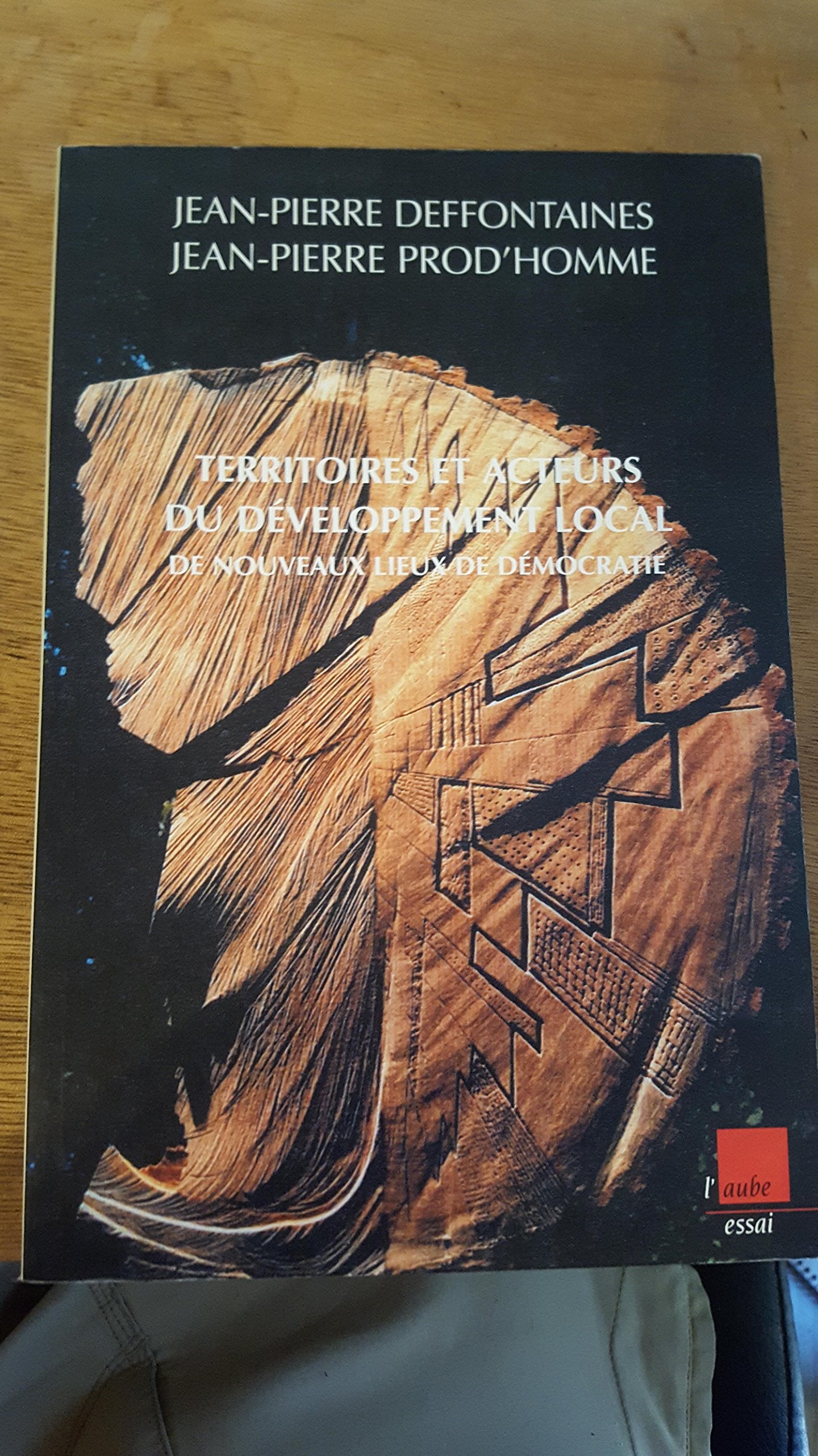 Territoires et acteurs du développement local, de nouveaux lieux de démocratie 9782876786080