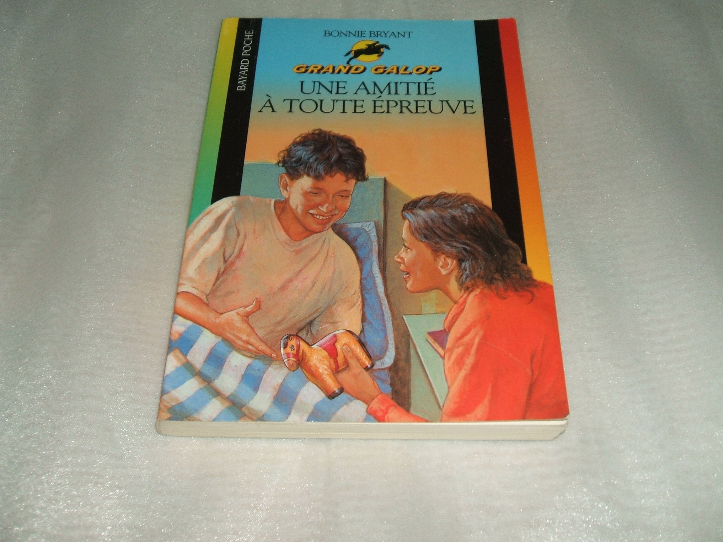 Une Amitie A Toute Epreuve 9782747003292