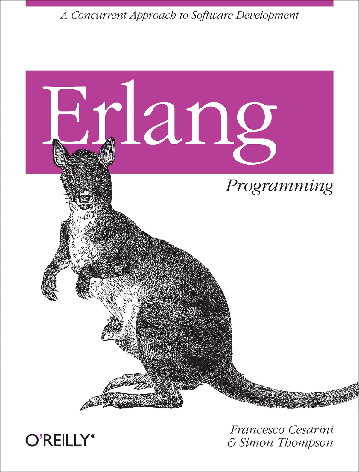 ERLANG Programming: A Concurrent Approach to Software Development 9780596518189