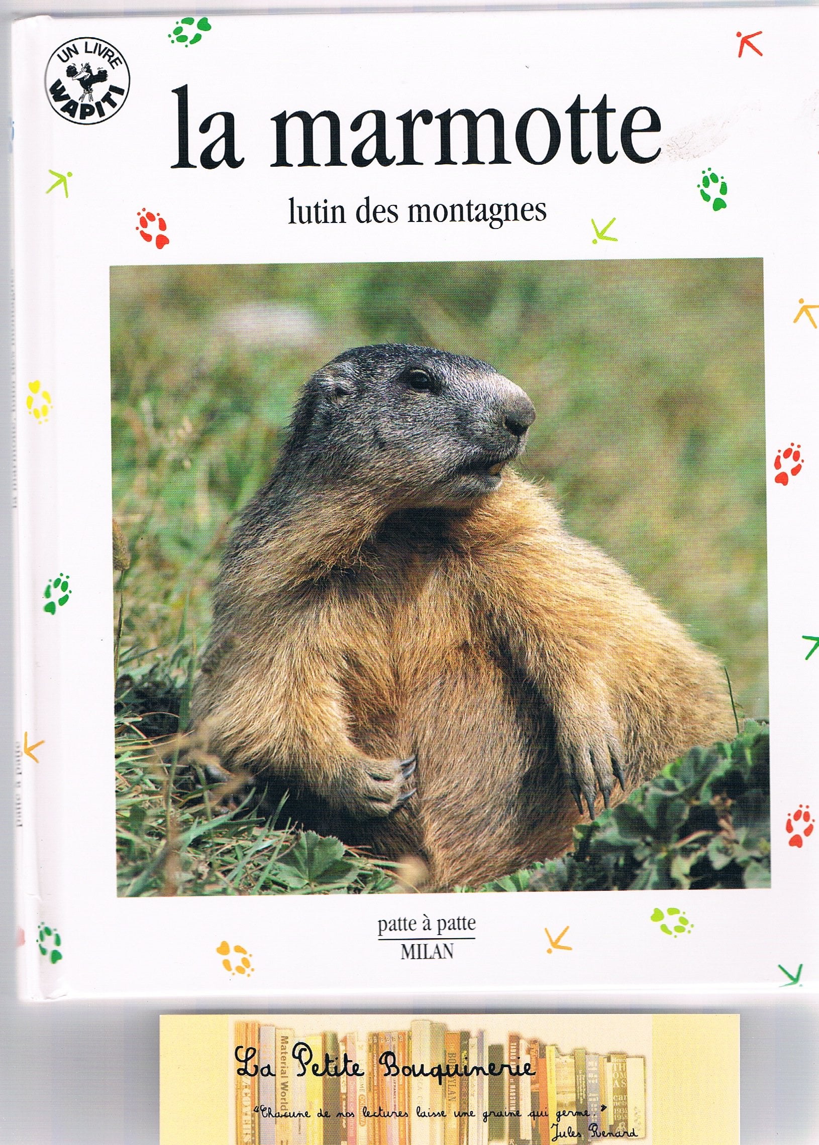 La Marmotte. Lutin Des Montagnes 9782867269516