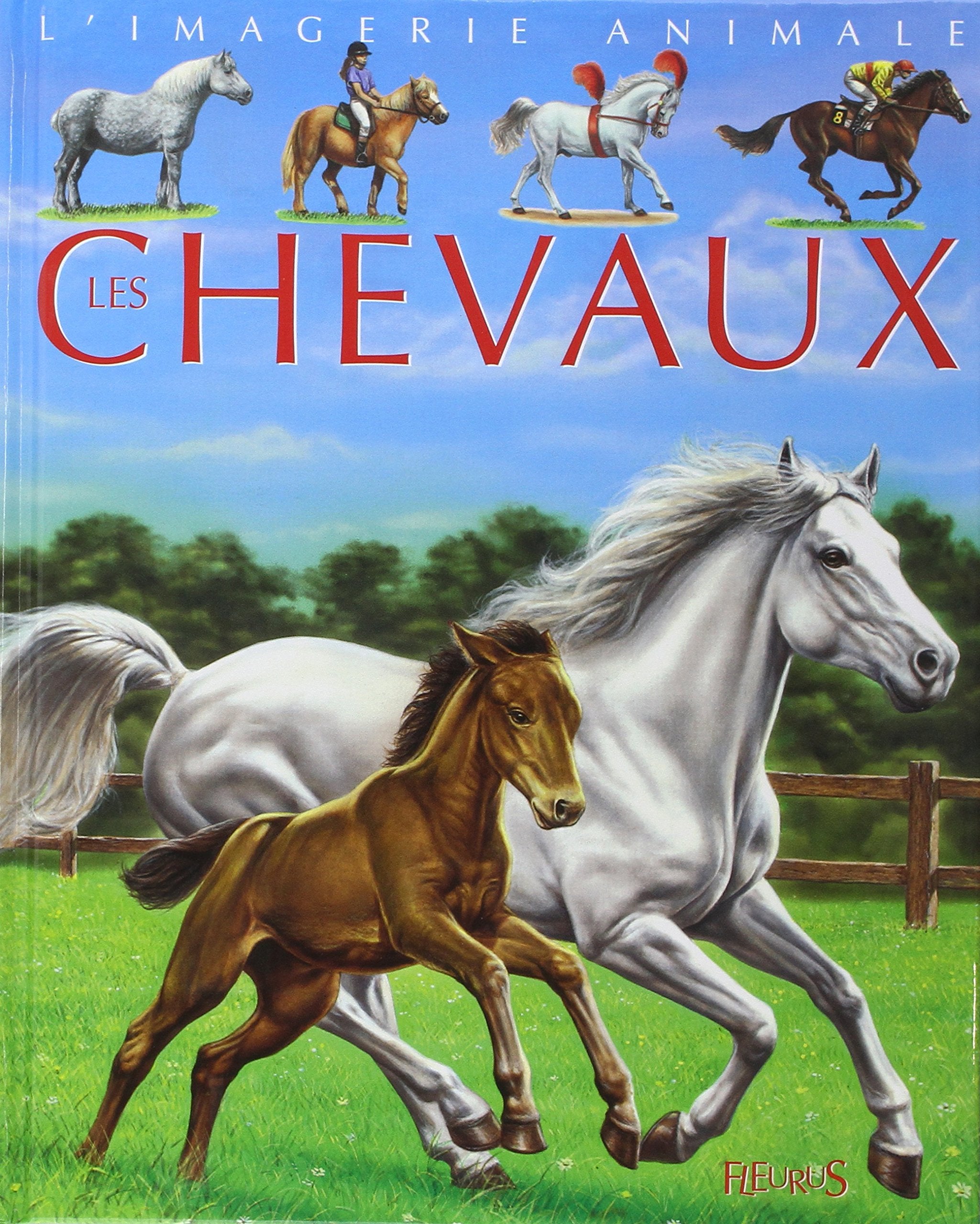 Les Chevaux : Pour les faire connaître aux enfants 9782215069171