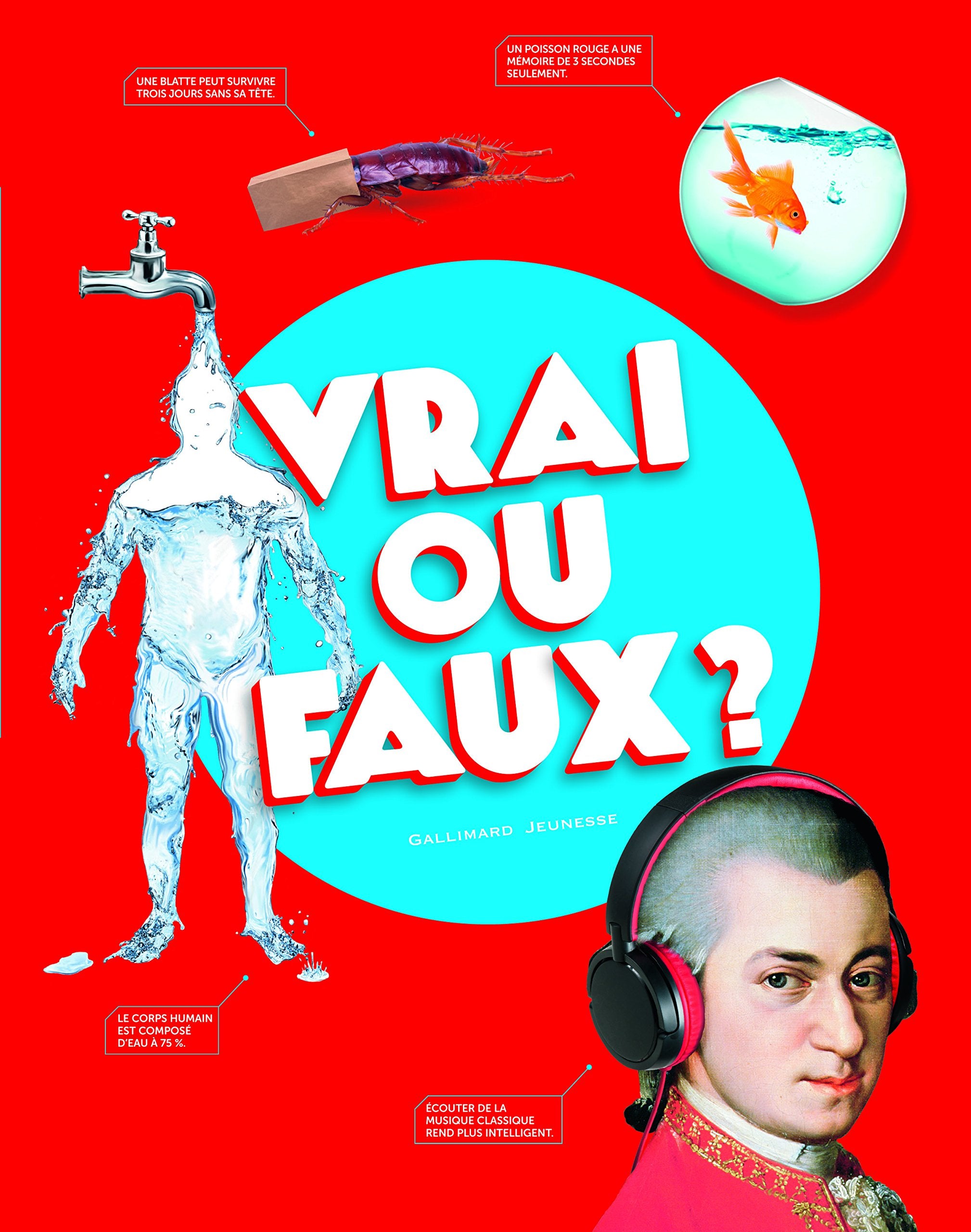 VRAI OU FAUX ? 9782070601301