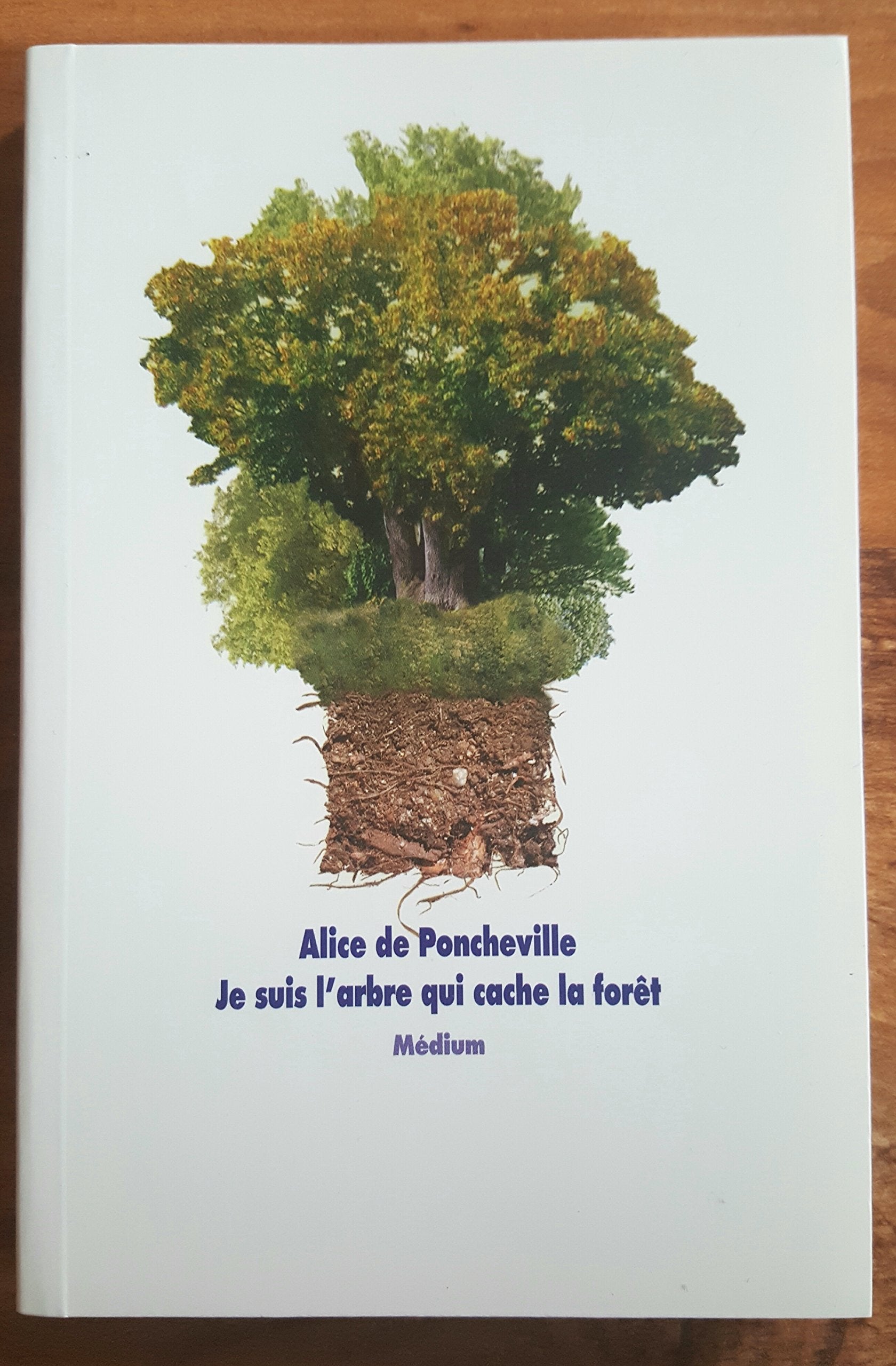 Je suis l'arbre qui cache la forêt 9782211072571