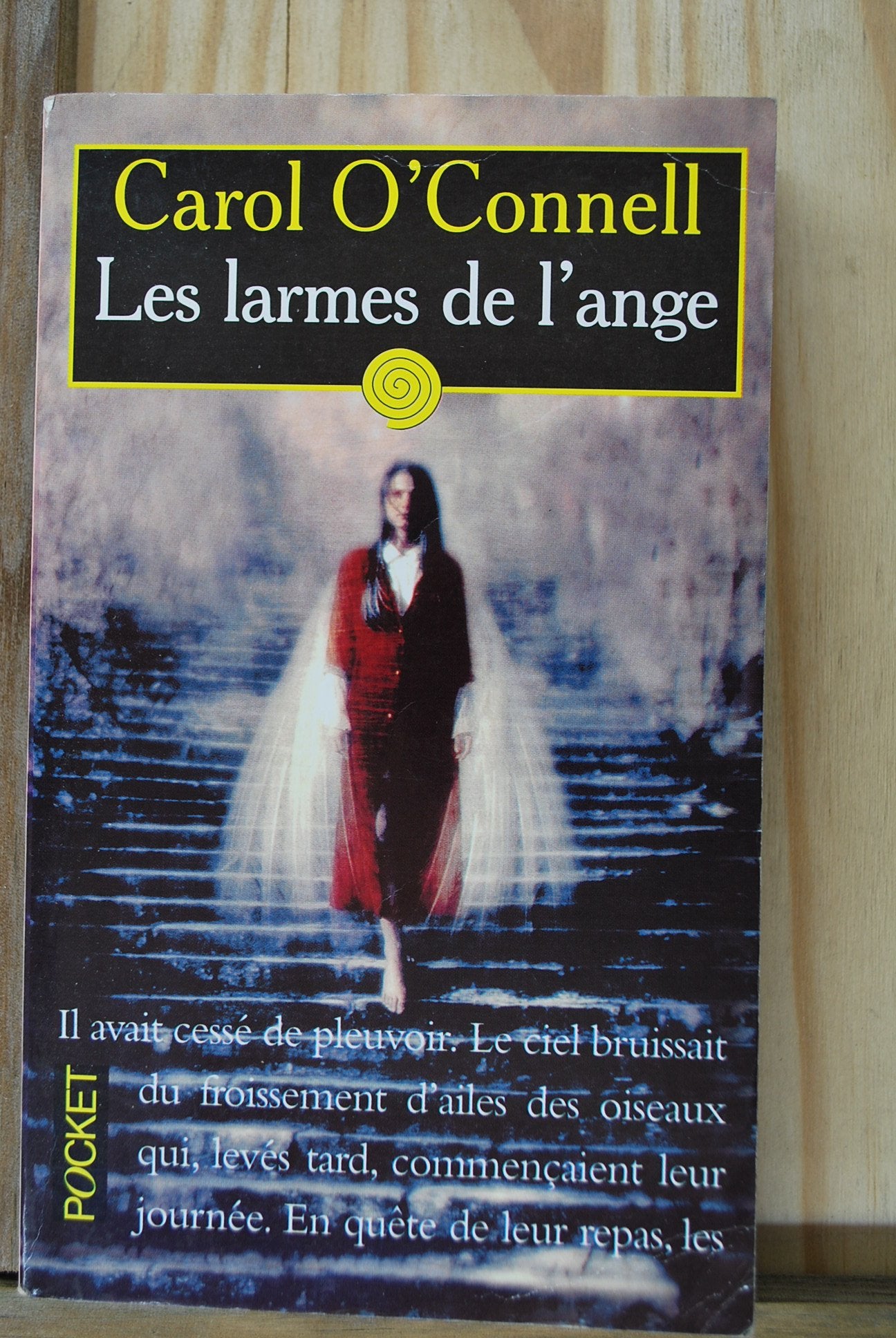 Les larmes de l'ange 9782709619523