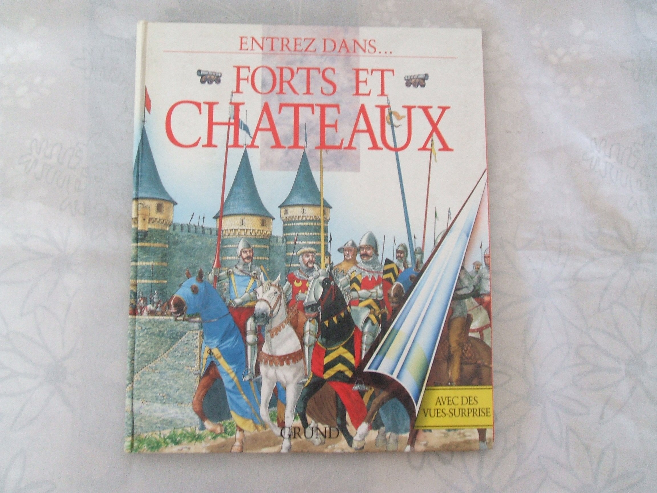 Forts et châteaux 9782700050585