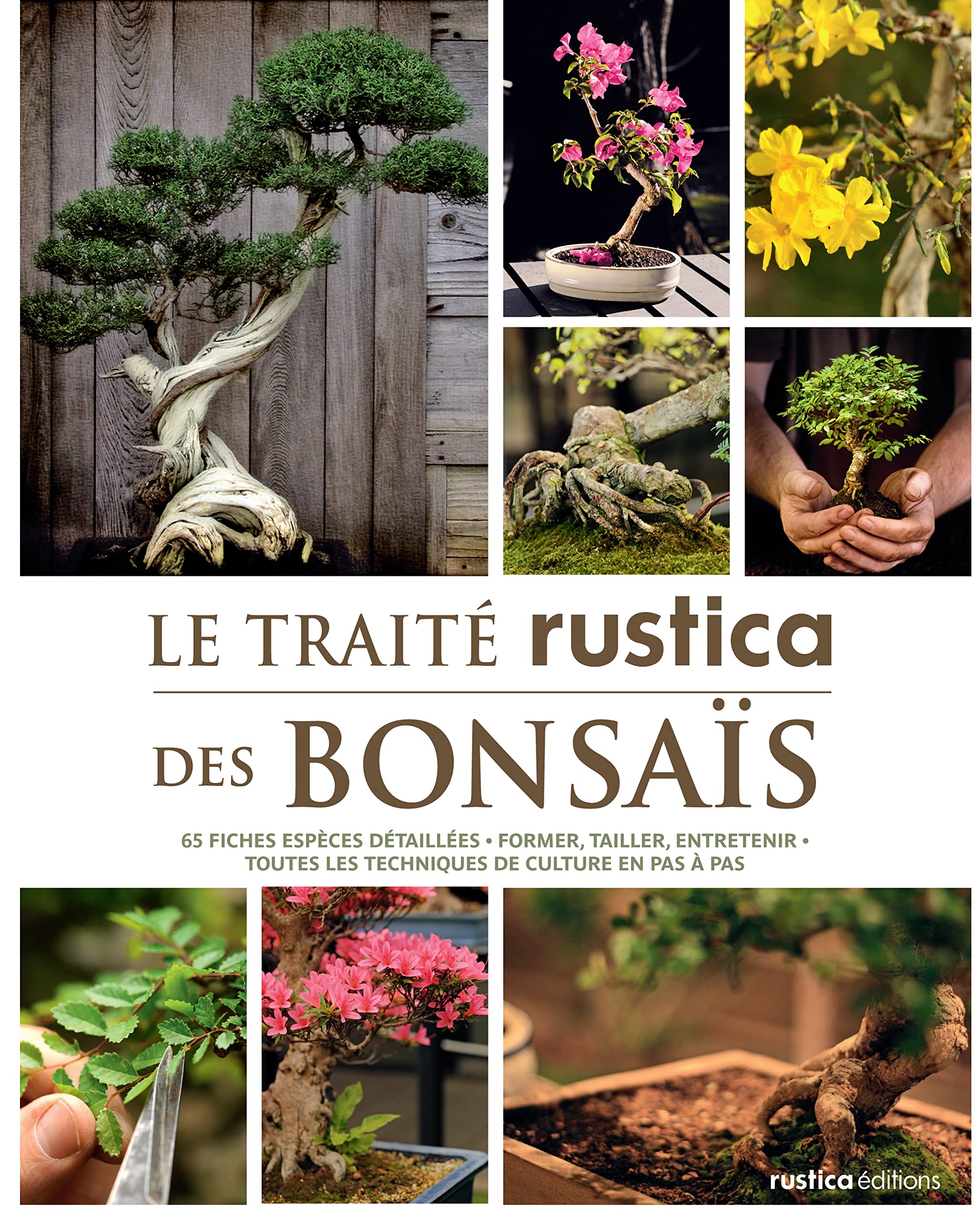 Le traité Rustica des bonsaïs: 65 fiches-espèces détaillées - Former, tailler, entretenir - Toutes les techniques de culture en pas 9782815302531