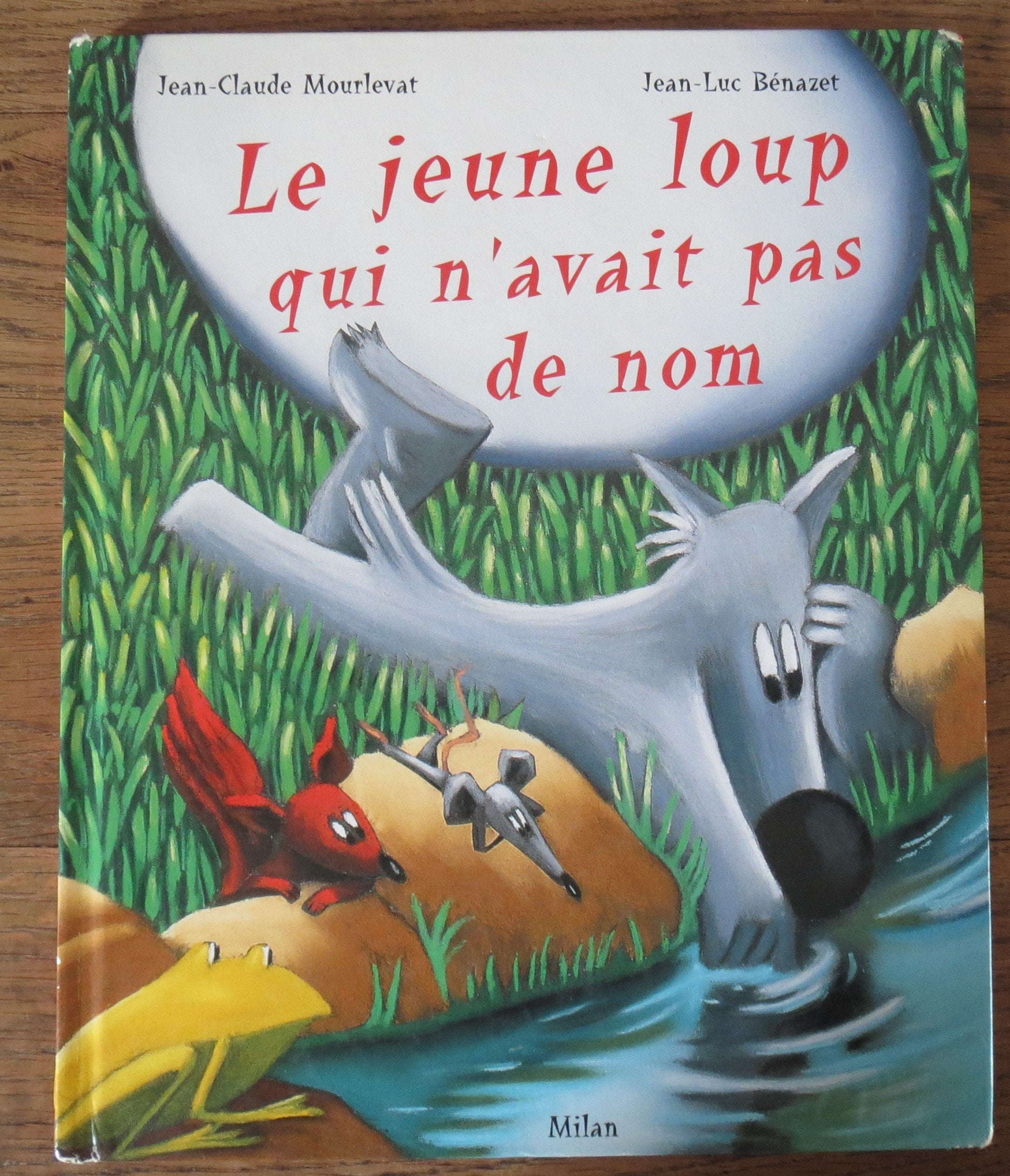 Le jeune loup qui n'avait pas de nom 9782745928078