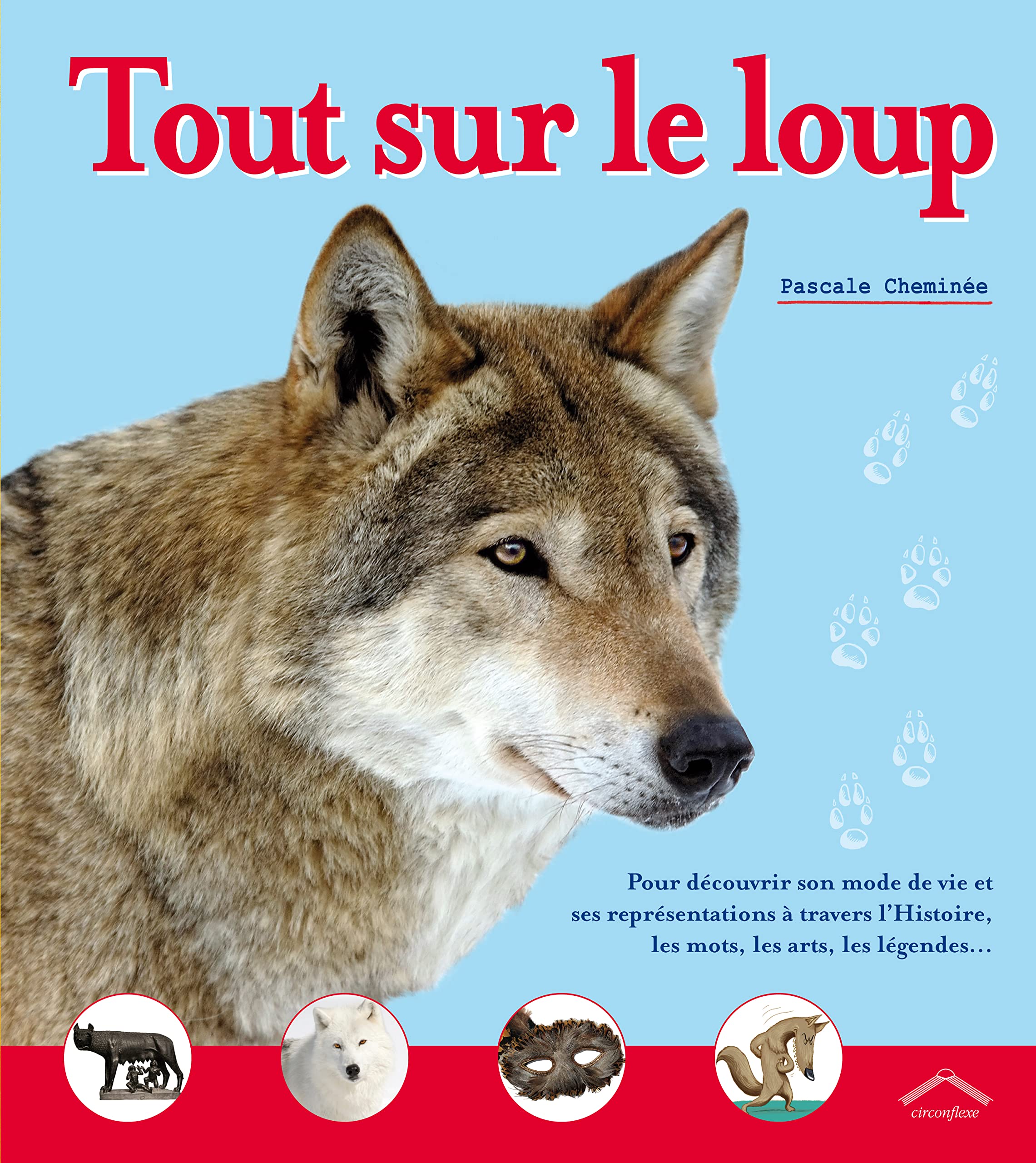 Tout sur lr loup: pour découvrir son mode de vie, ses représentations ... l=247mm 9782878334746