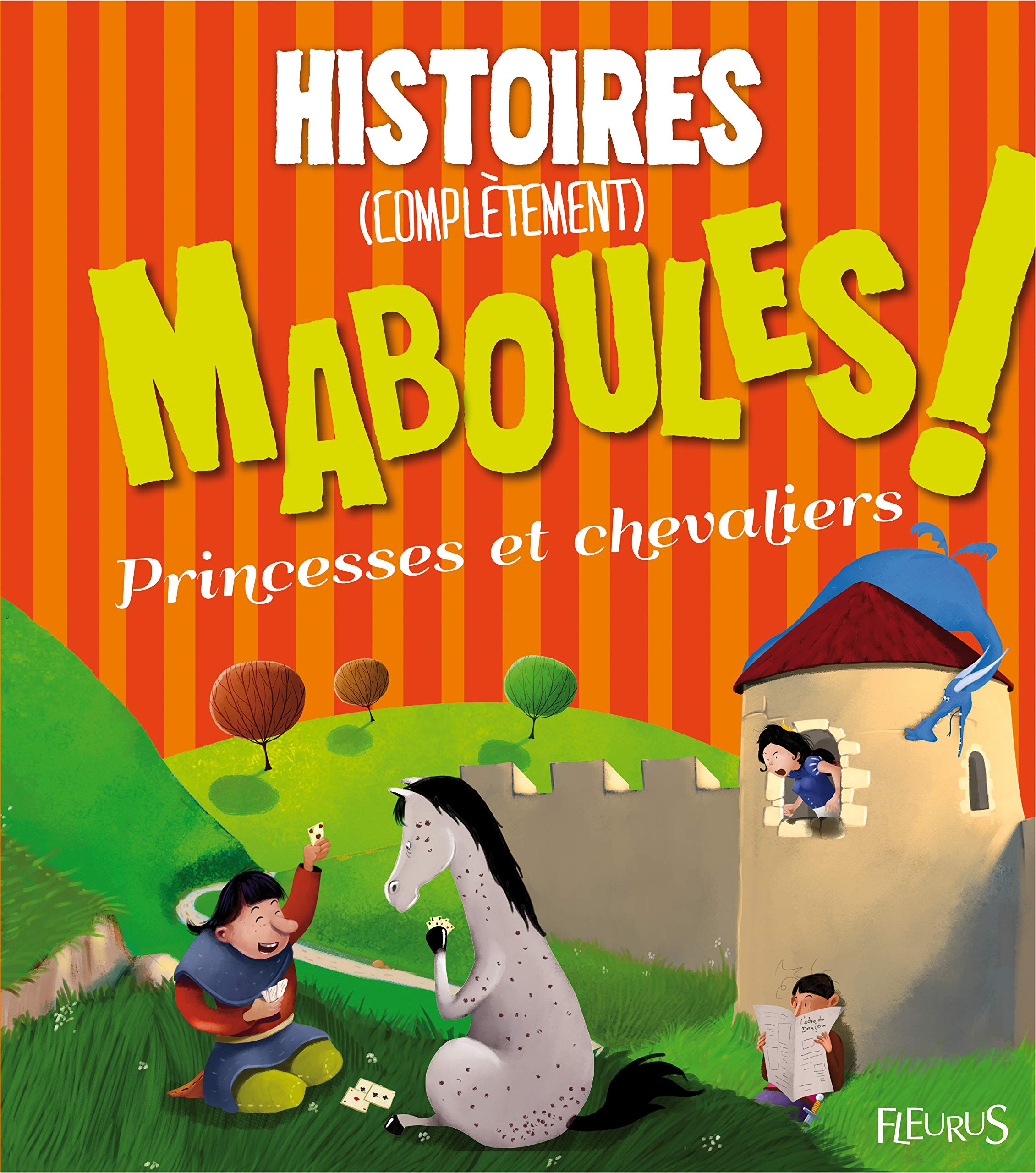 HISTOIRES (COMPLETEMENT) MABOULES ! PRINCESSES ET CHEVALIERS 9782215117919