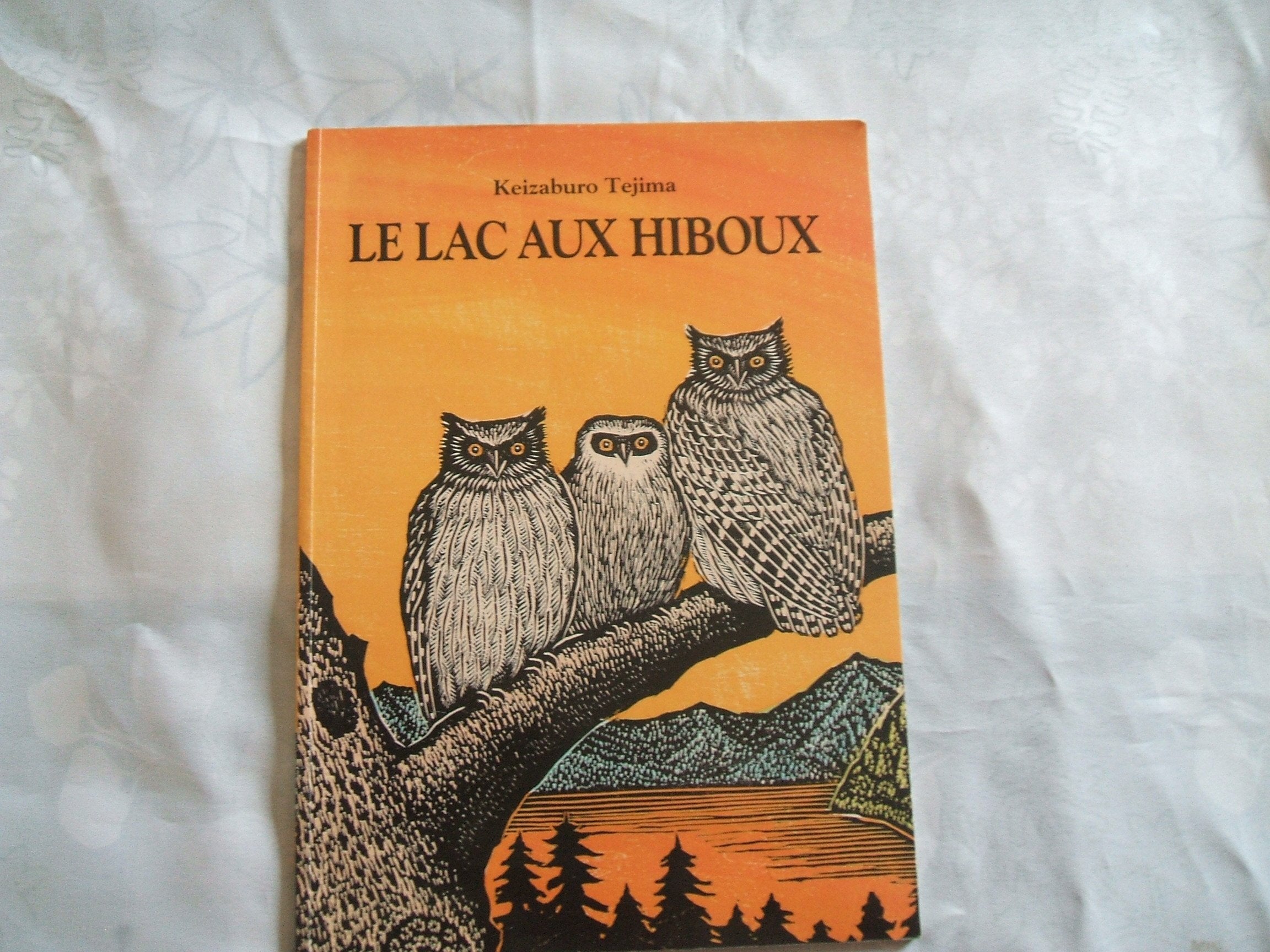 Le Lac aux hiboux 9782211027069