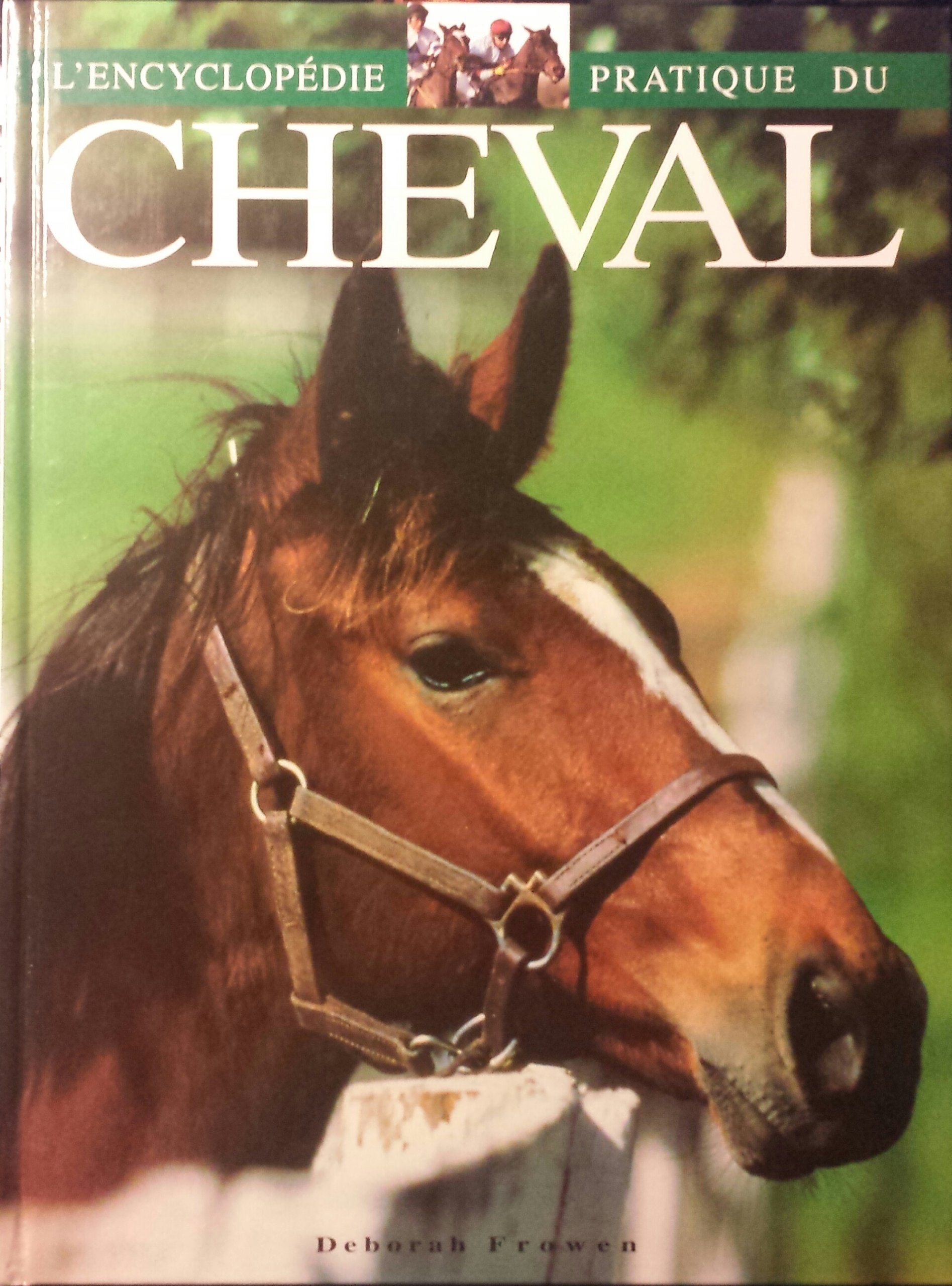 Encyclopédie pratique du cheval 9782743415976