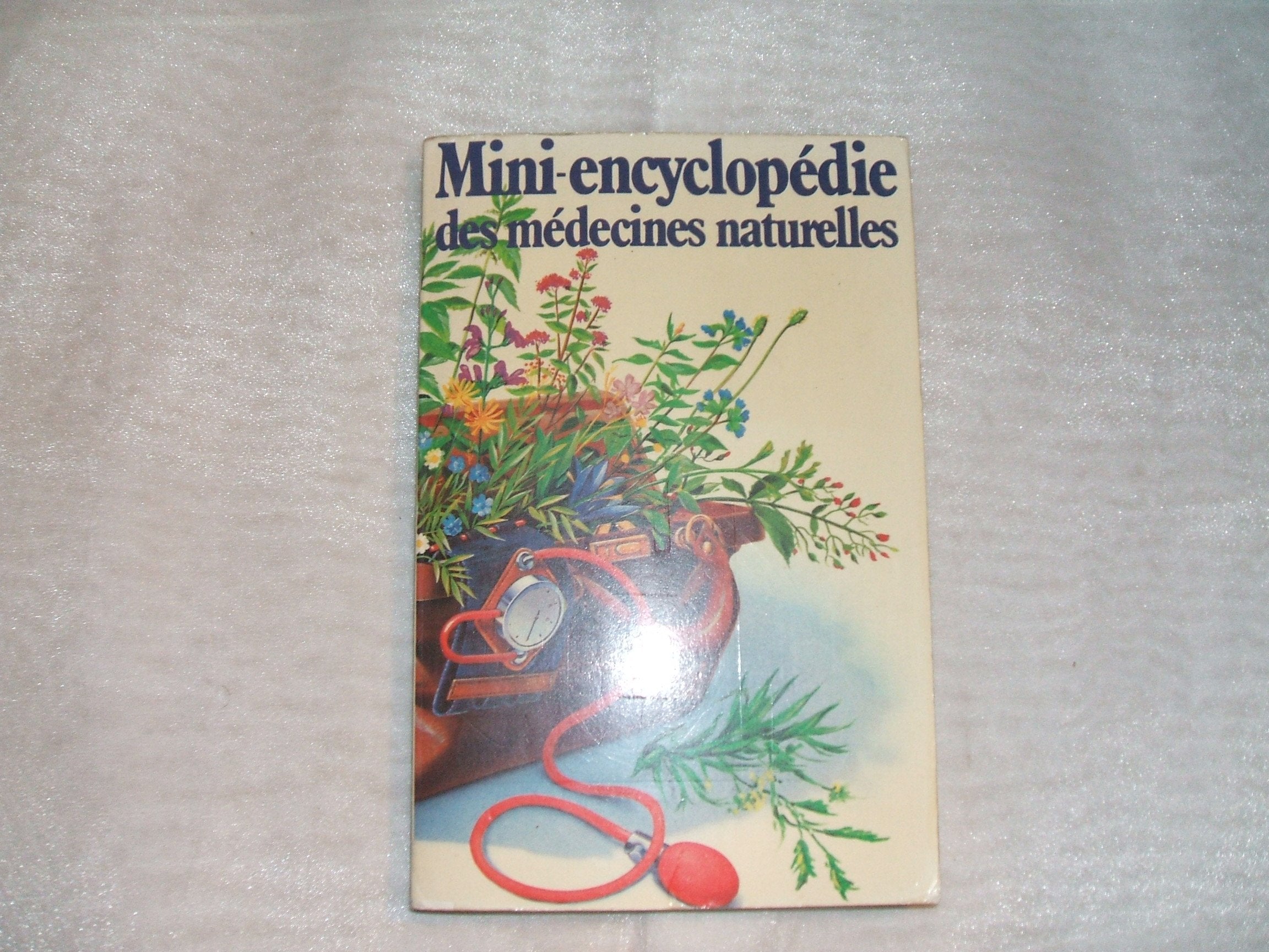 Les recettes de grand-mère 9783625138778