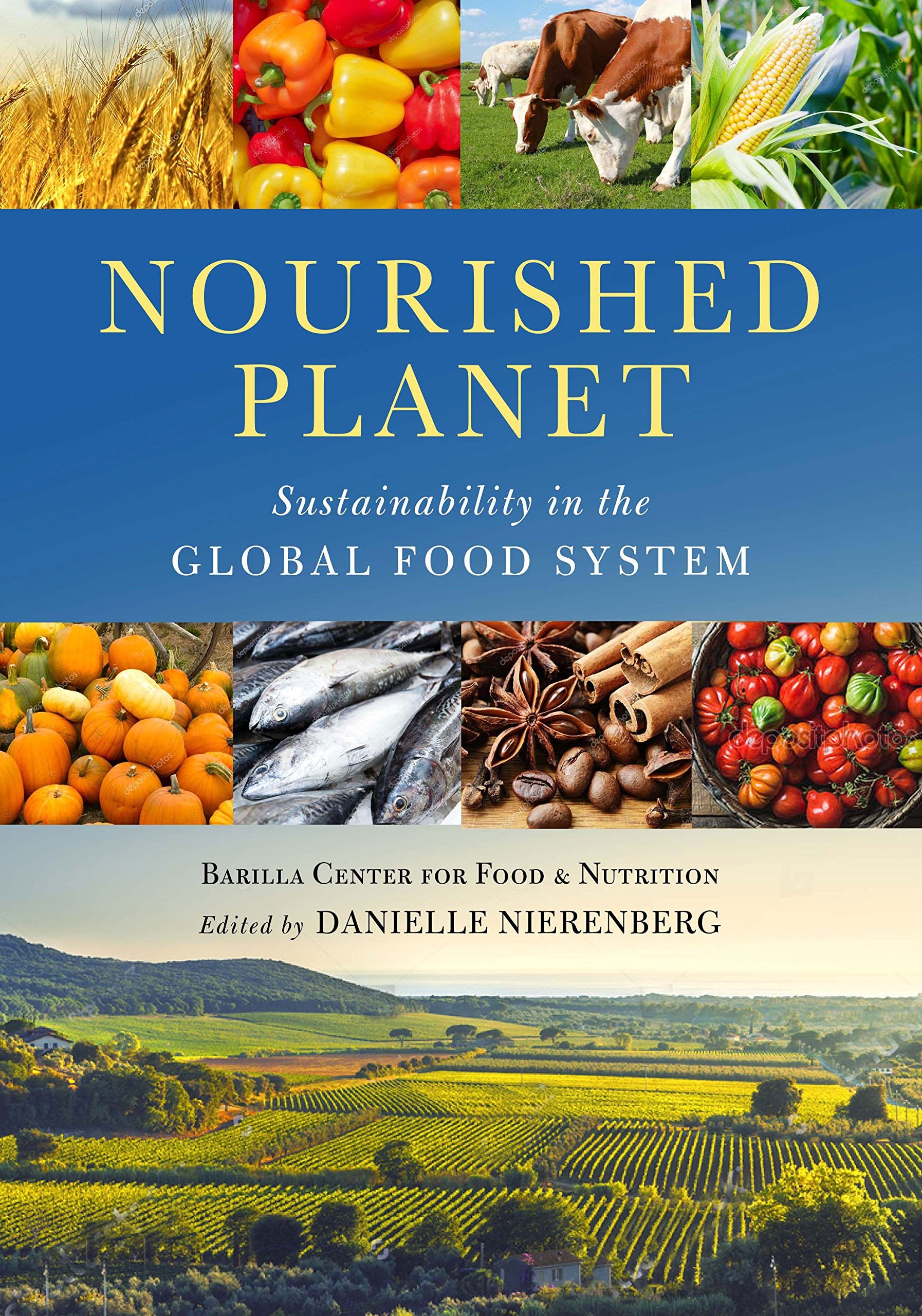Nourished Planet: Sustainability in the Global Food System 9781610918947