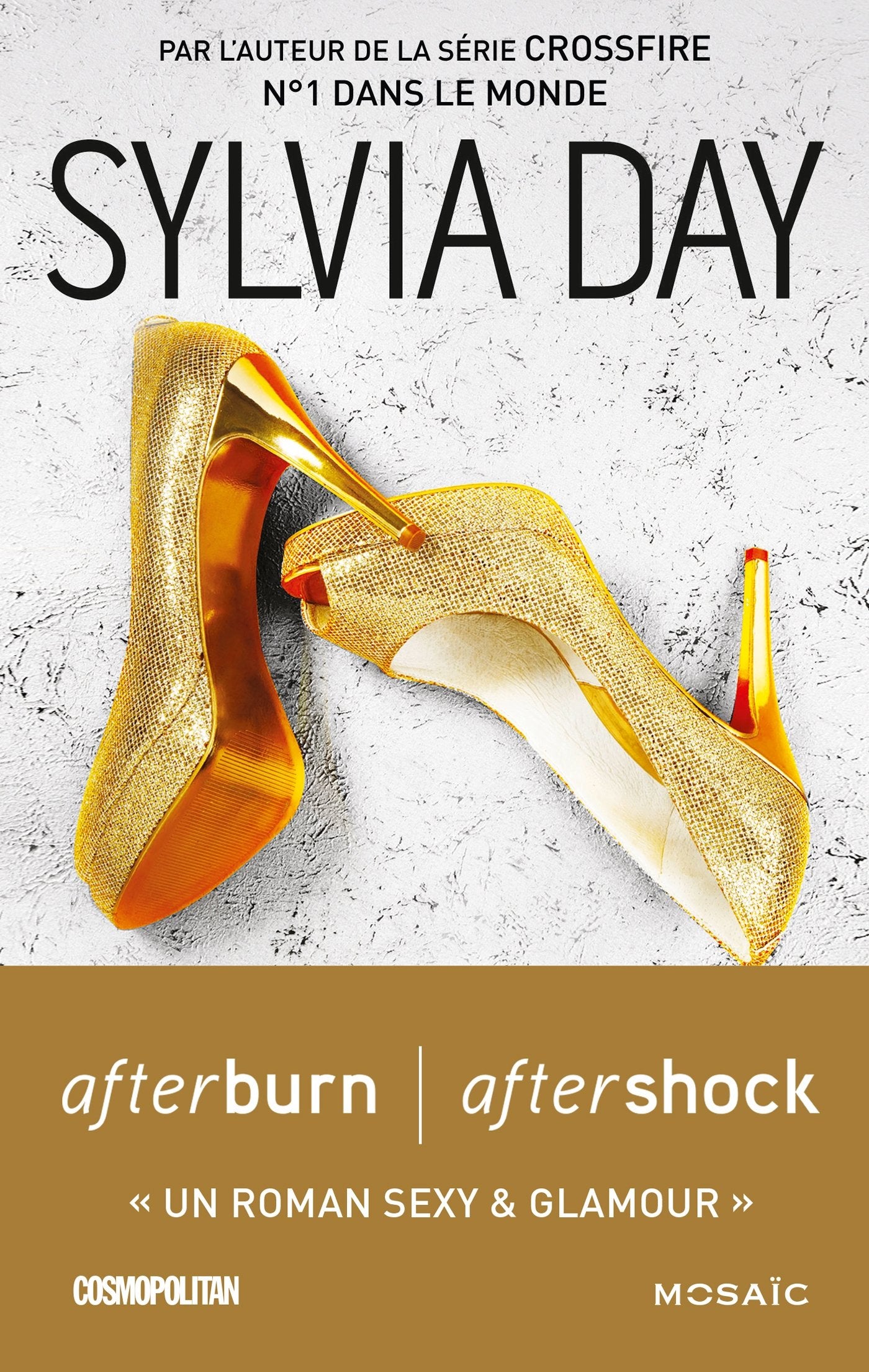 Afterburn / Aftershock (version française) 9782280325523