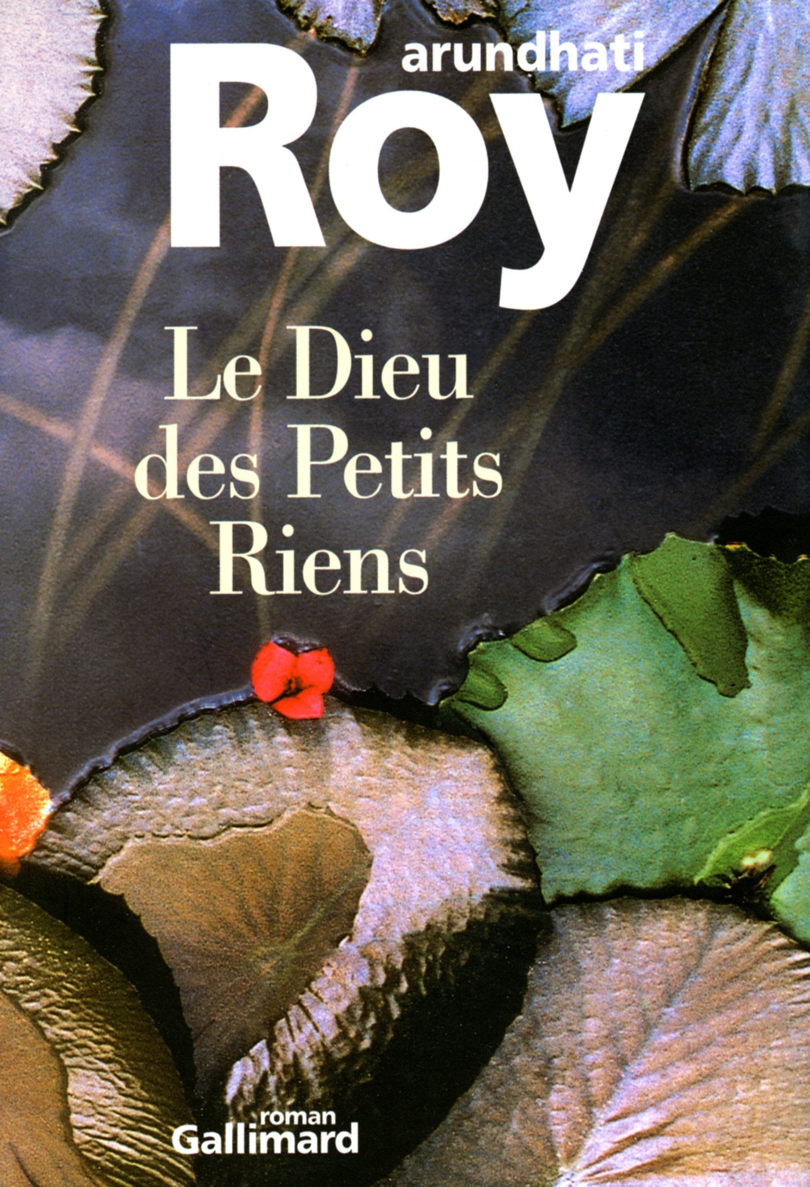 Le Dieu des Petits Riens 9782070747979